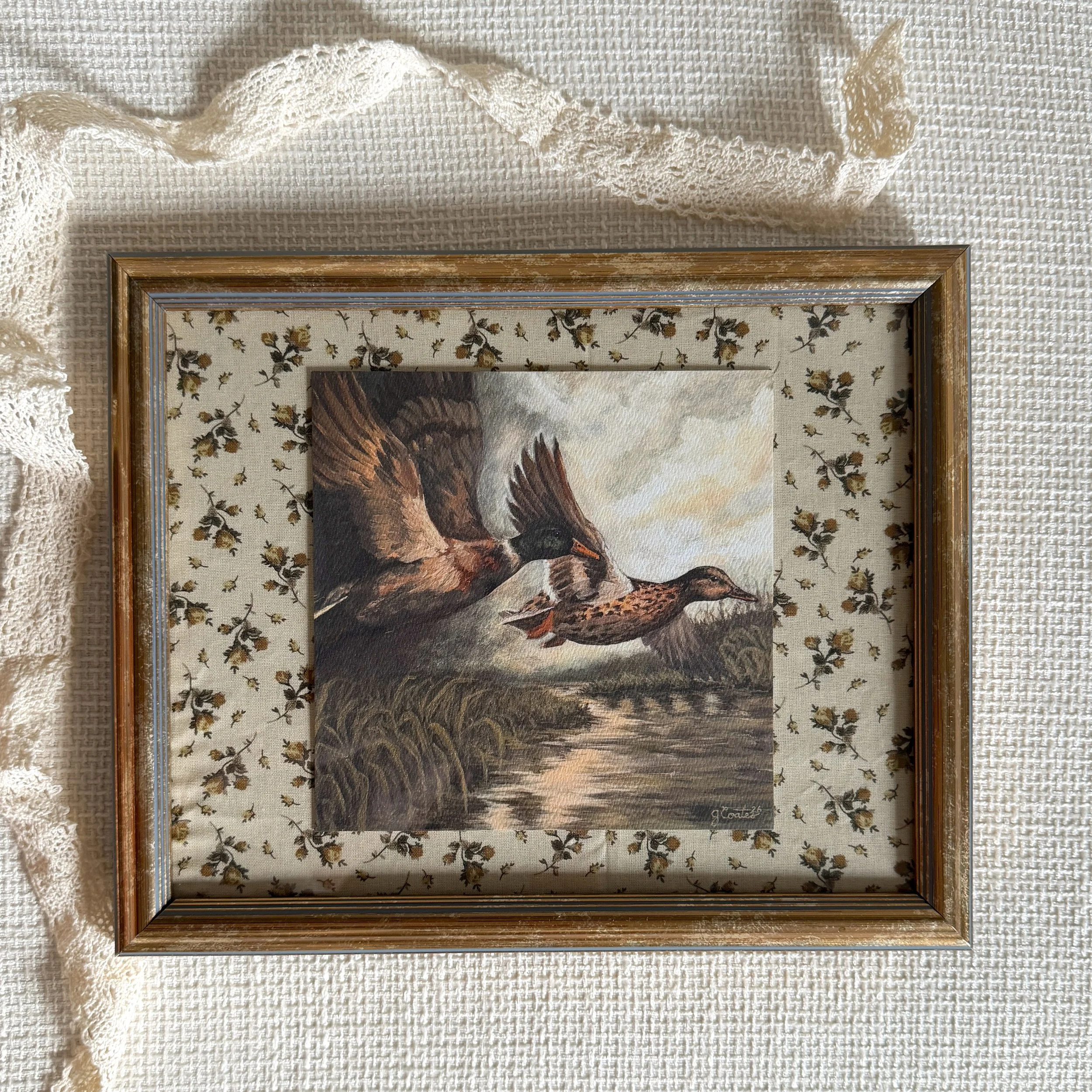 Mallards - Framed Print