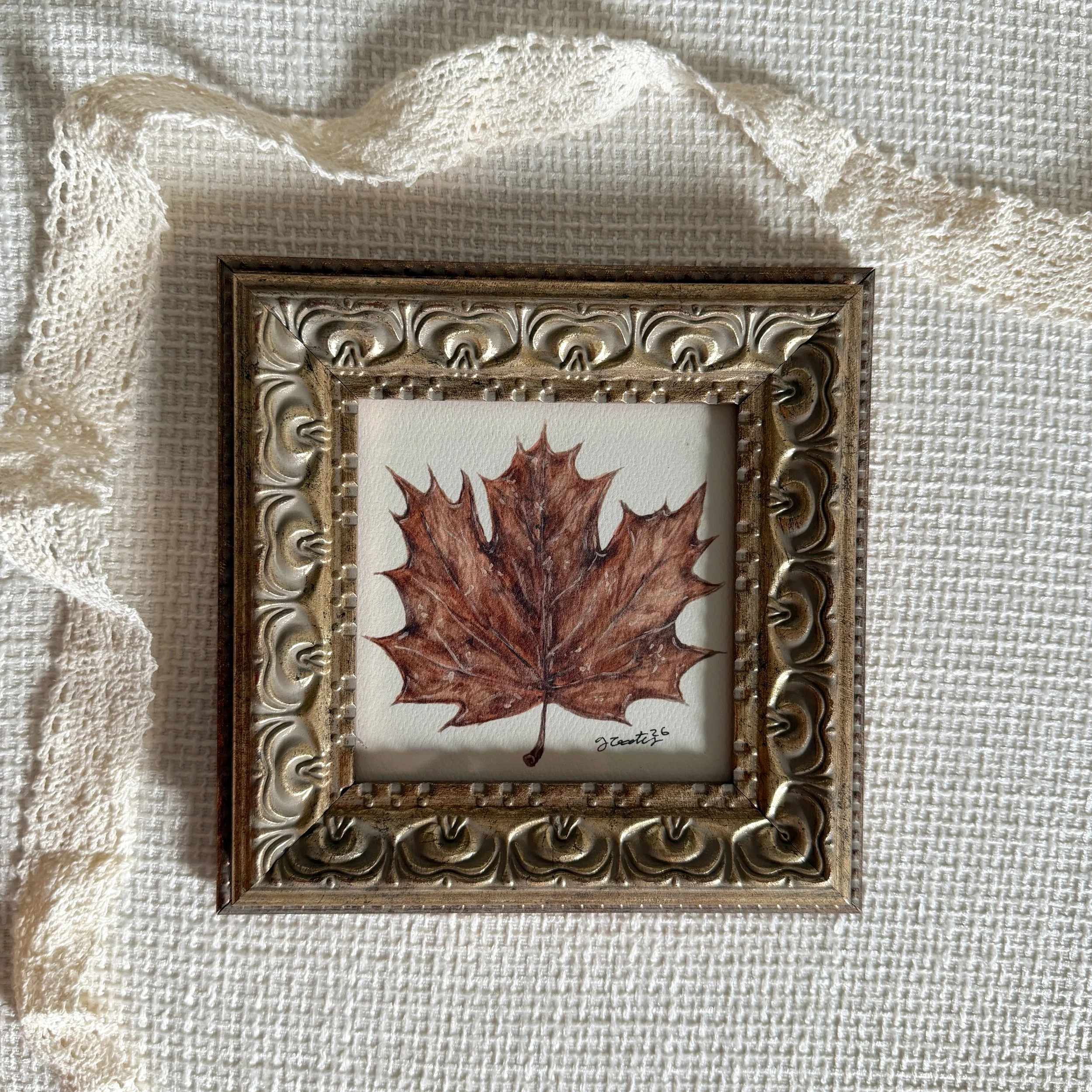 Maple - Framed Print