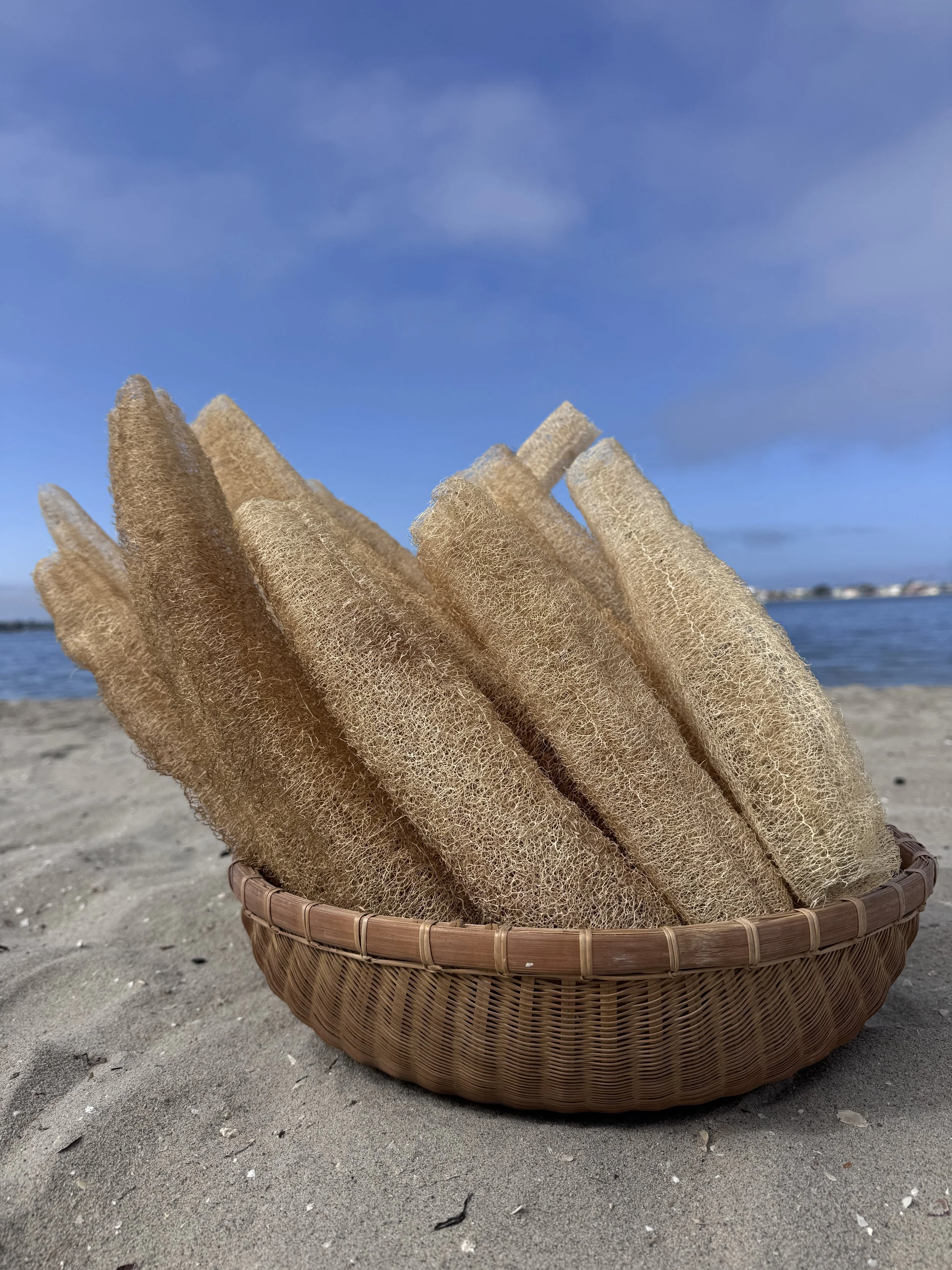 Whole Natural Loofah