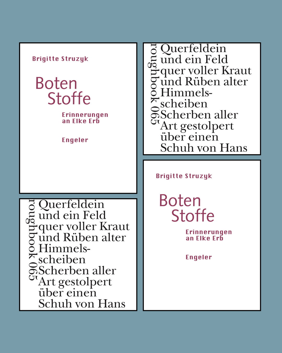 Hin und her und her und hin – über Brigitte Struzyks neue Gedichtsammlung und ihre Erinnerungen an Elke Erb