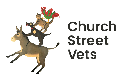 Clarendon Street Veterinary Surgery