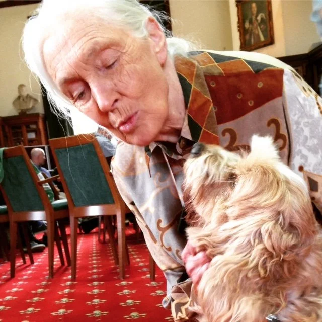 Bella and Dr Jane Goodall
