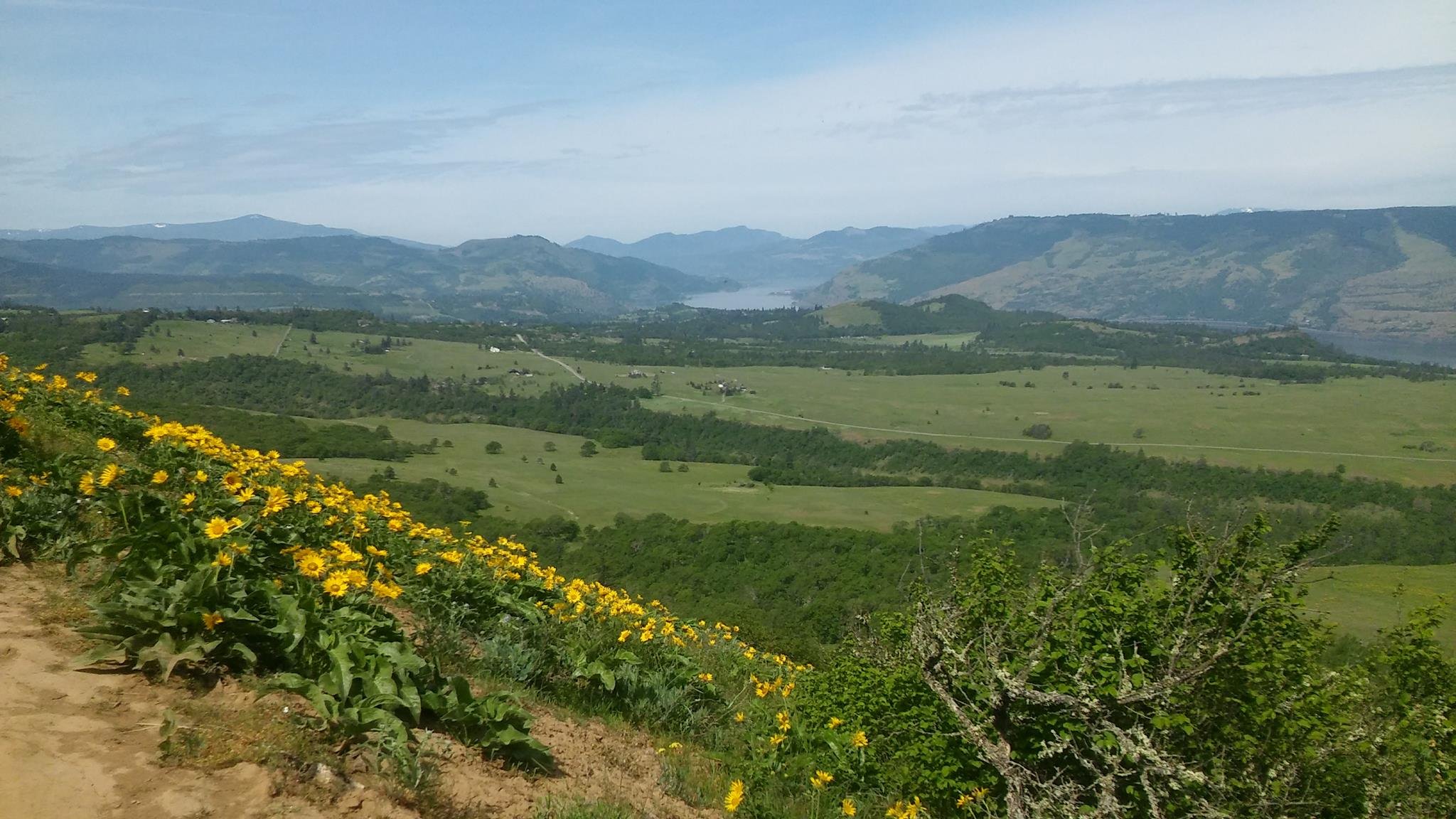 Trail Pic 3.jpg