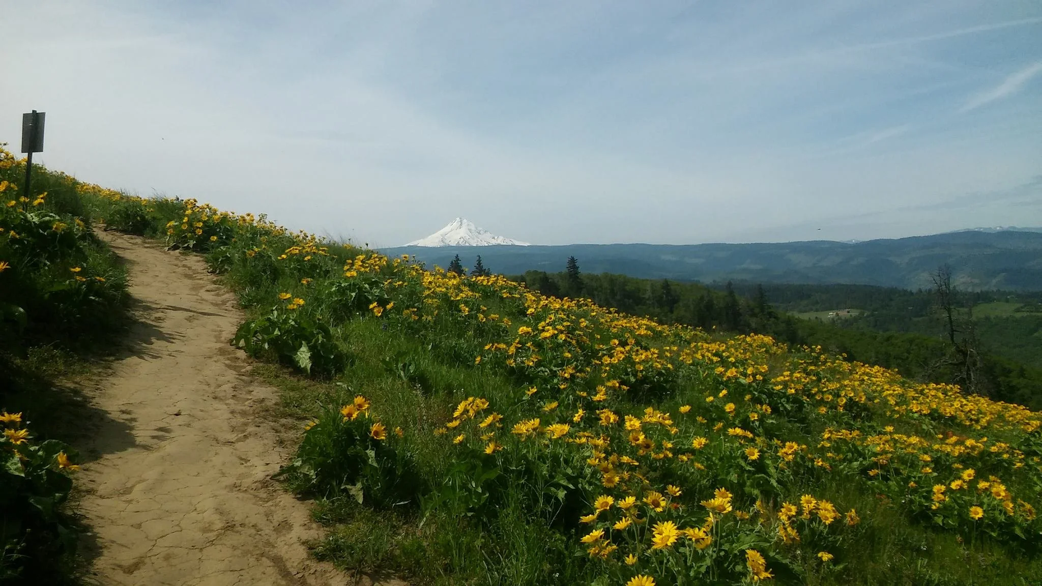 Mt. Hood Trail Pic.jpg