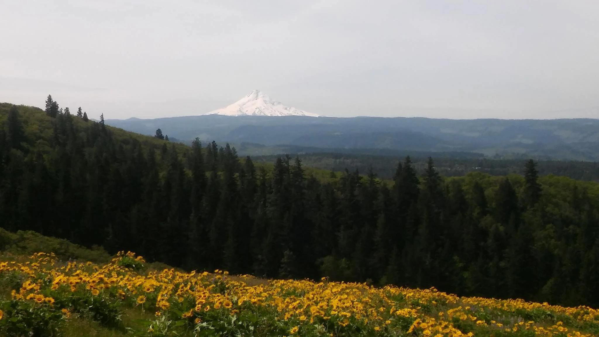Mt Hood Trail Pic 3.jpg