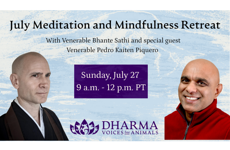 July Monthly Meditation and Mindfulness Retreat