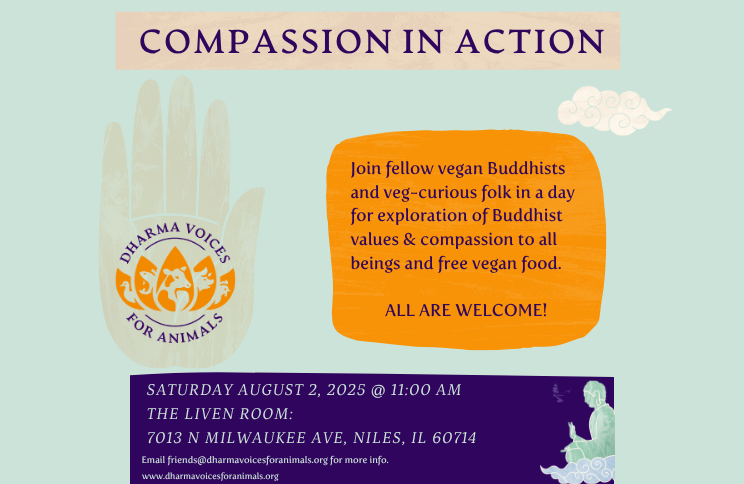 Compassion In Action: In-Person Chicago Meetup