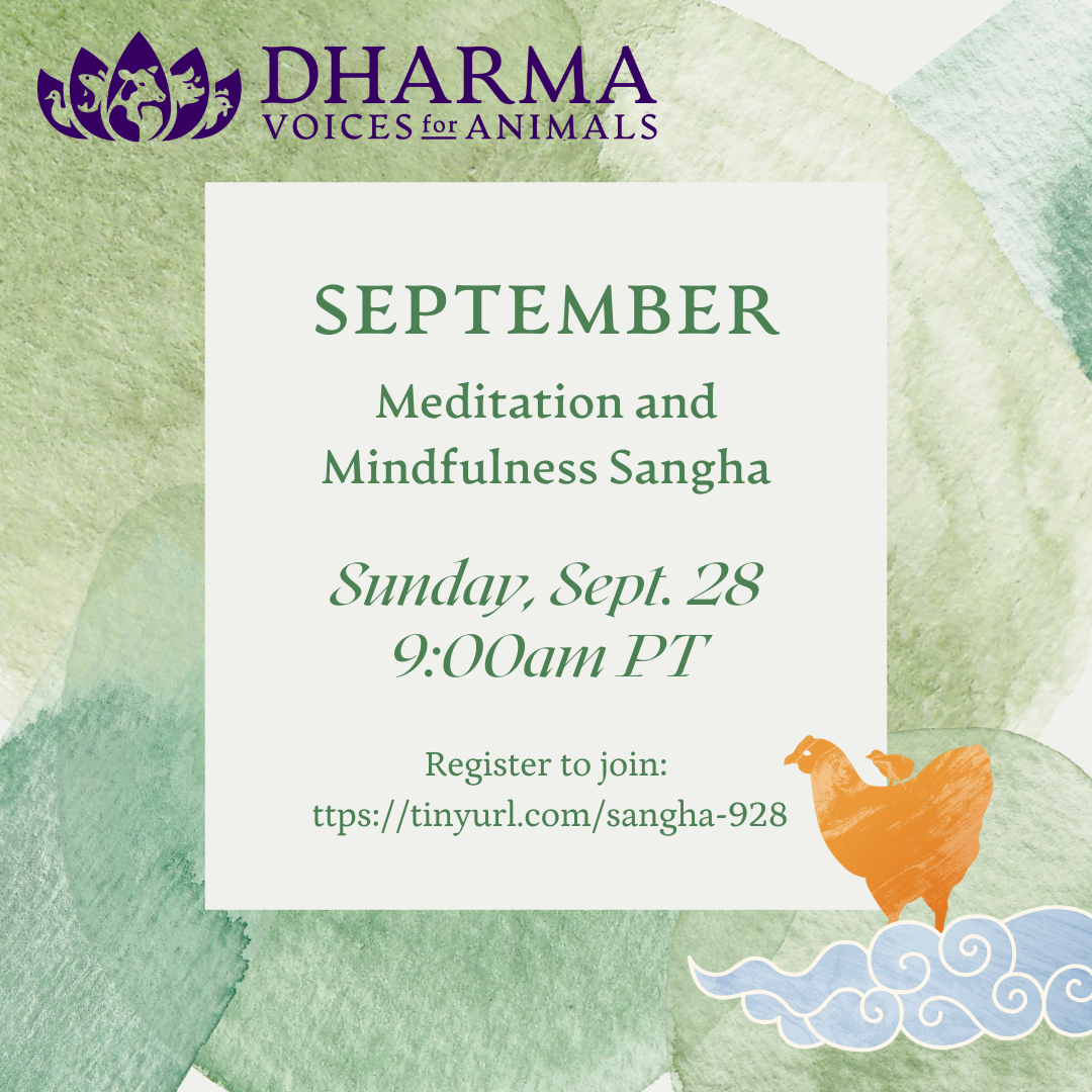 September Meditation and Mindfulness Sangha