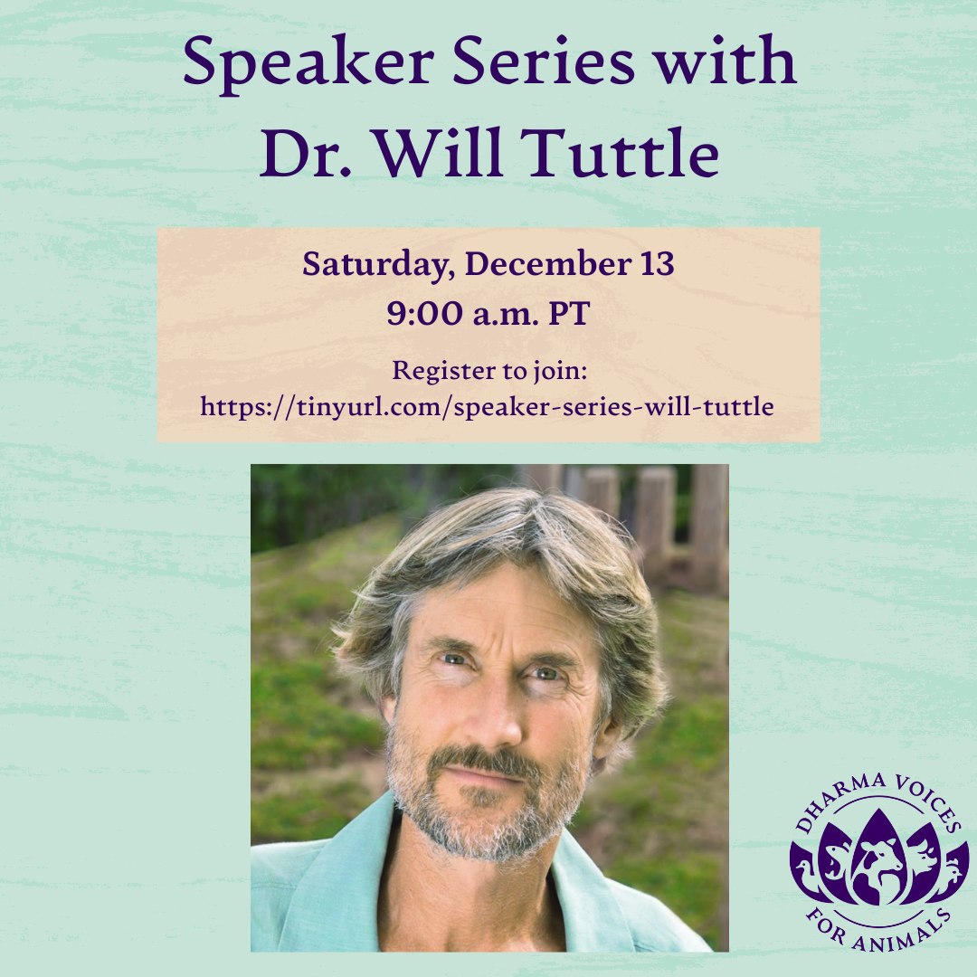Heart Teachings on the Dharma Path: A Conversation with Will Tuttle