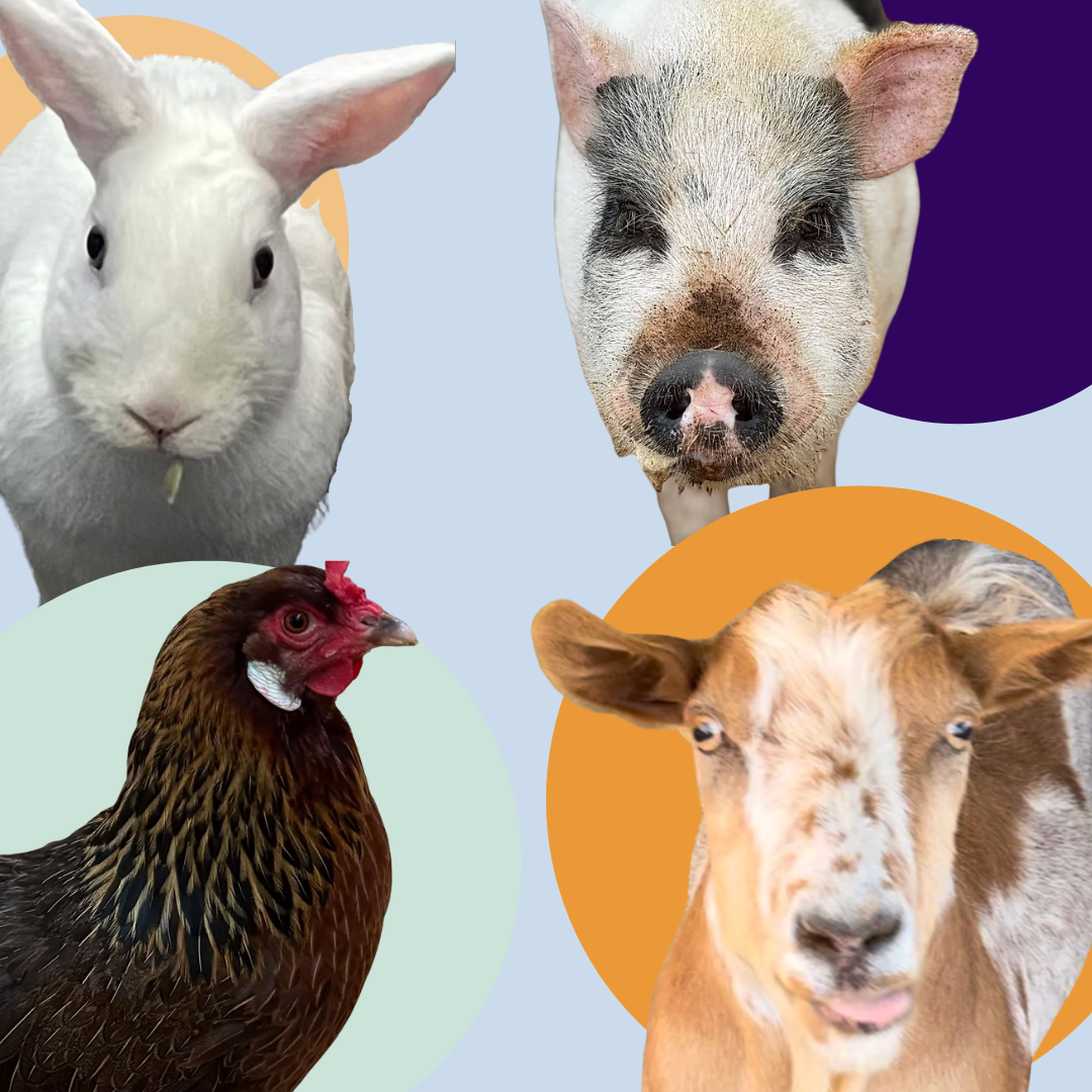 Not A Lifestyle Preference