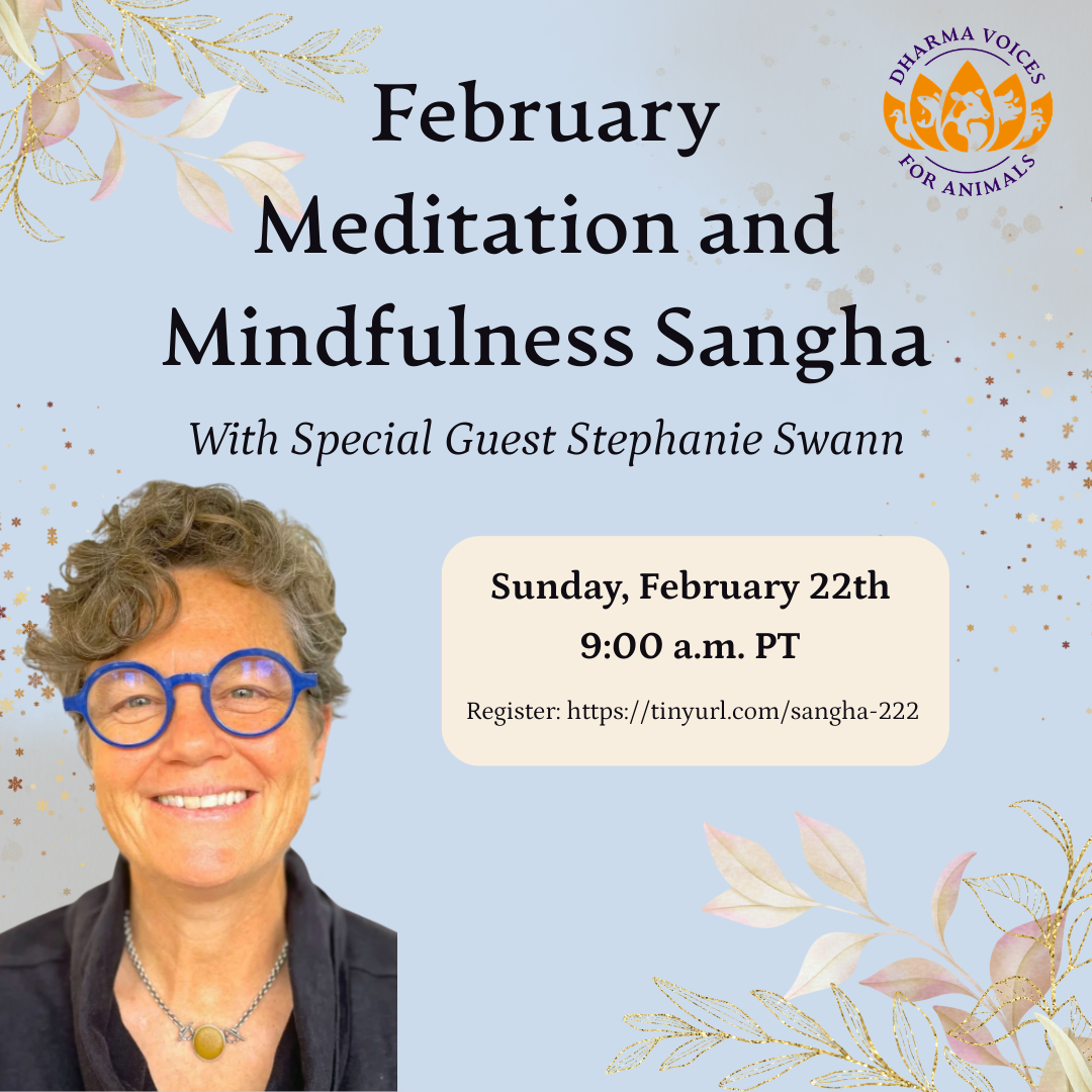 February Meditation and Mindfulness Sangha