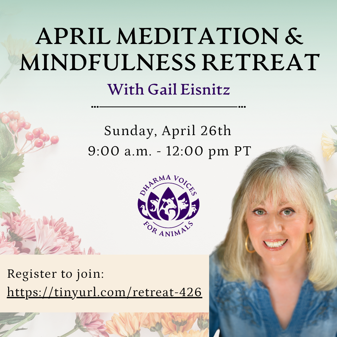 April 3-hour Meditation & Mindfulness Retreat