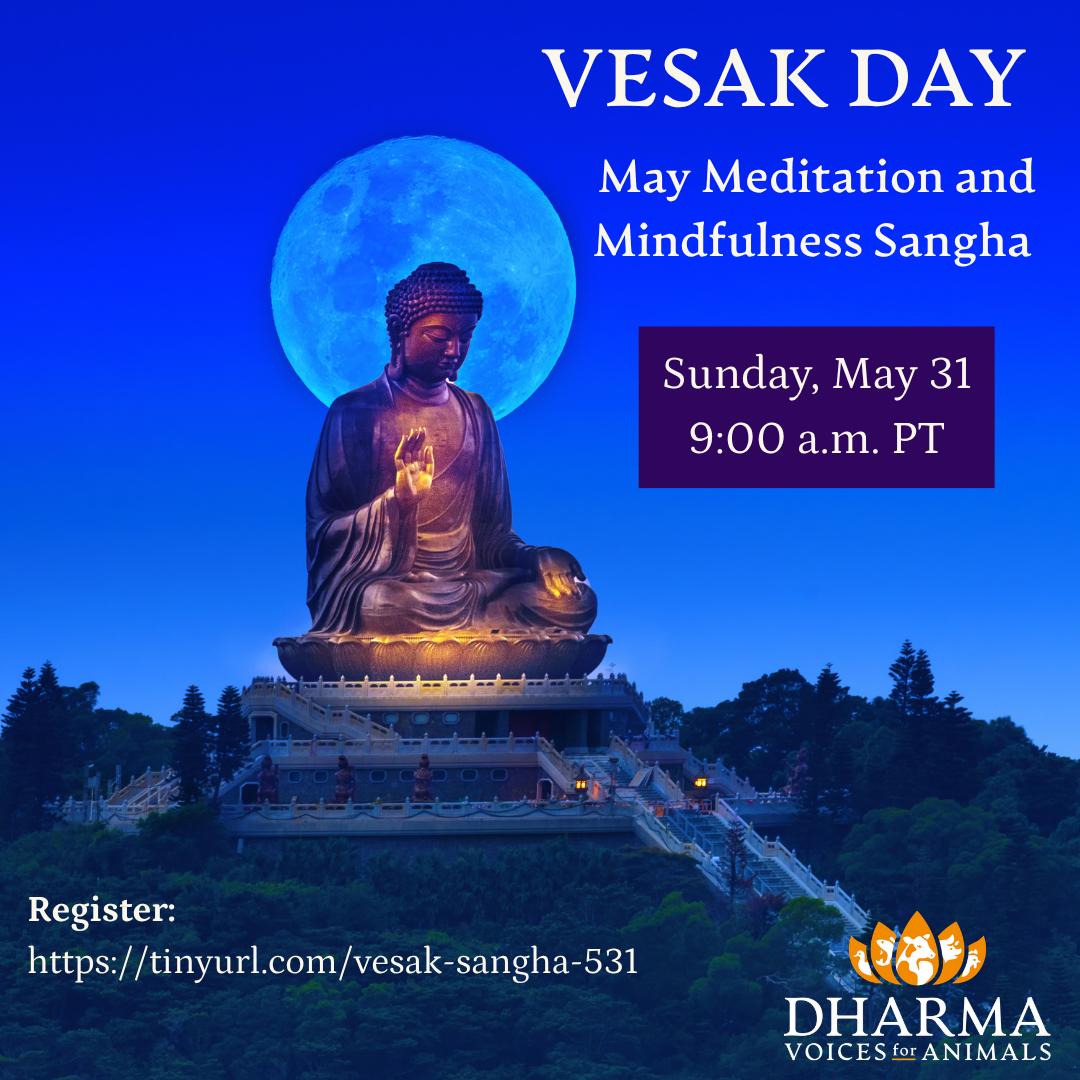 May Meditation and Mindfulness Sangha