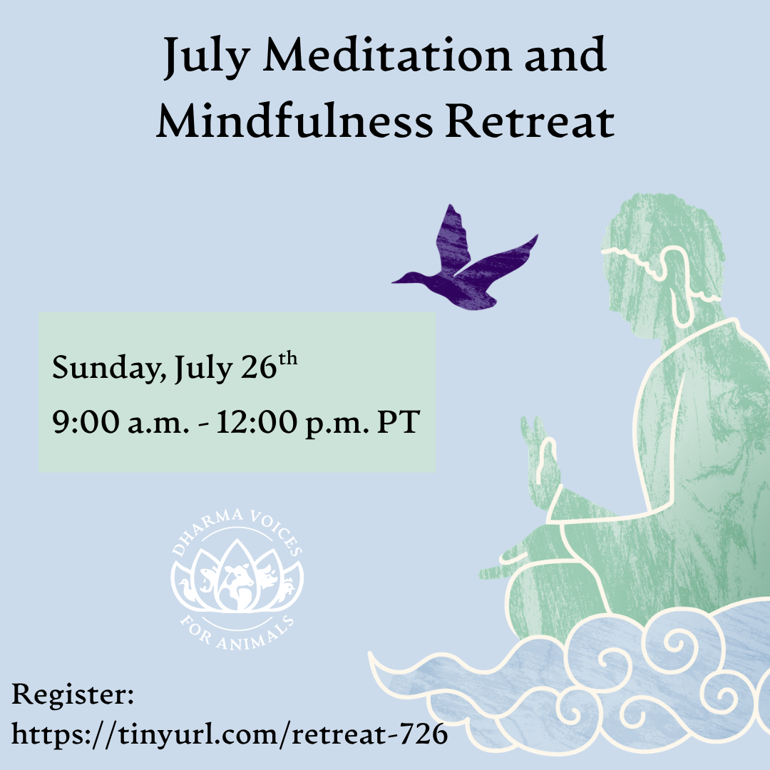 July Meditation and Mindfulness Retreat