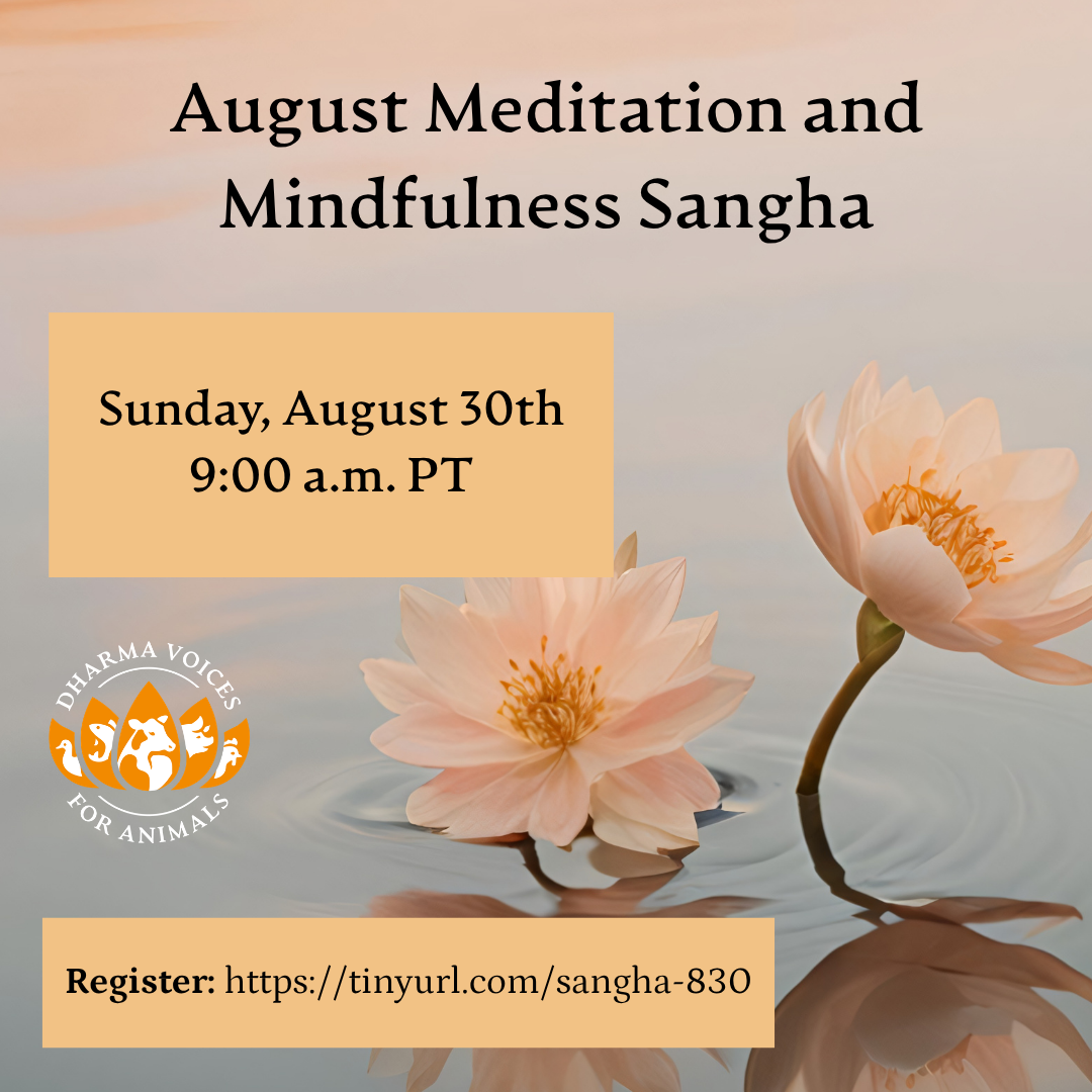 August Meditation and Mindfulness Sangha