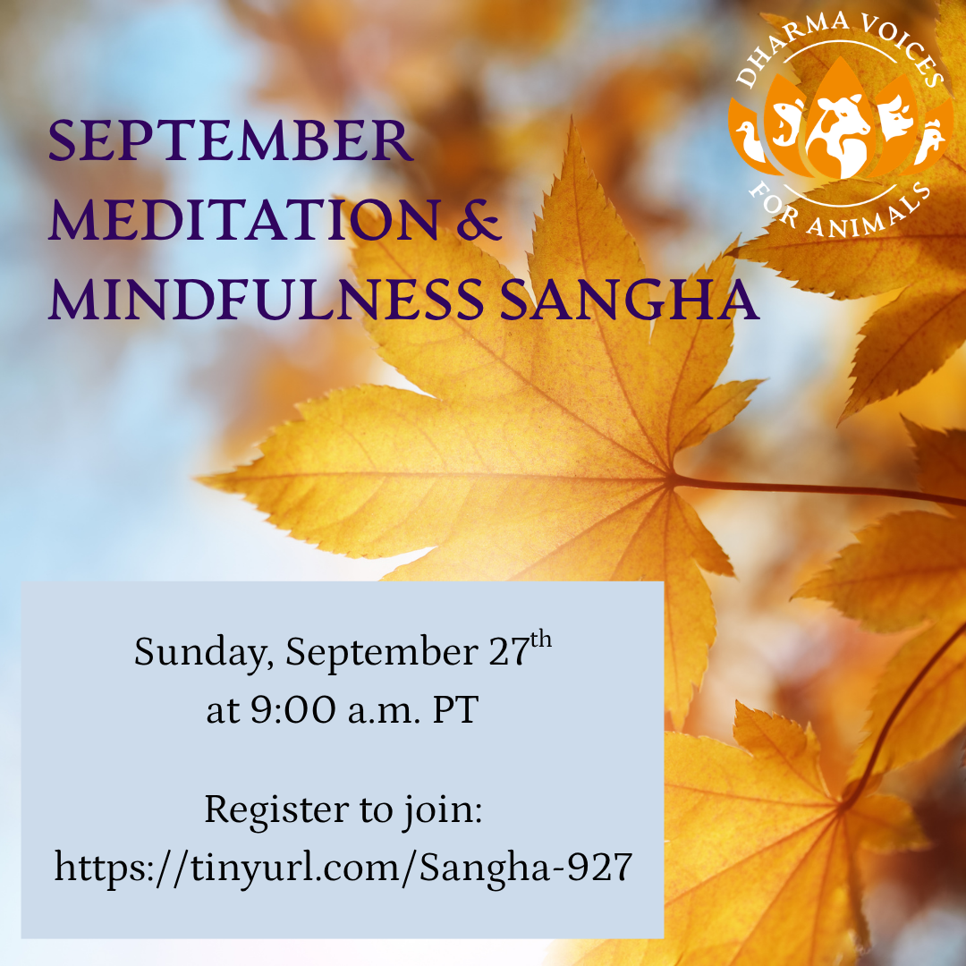 September Meditation and Mindfulness Sangha