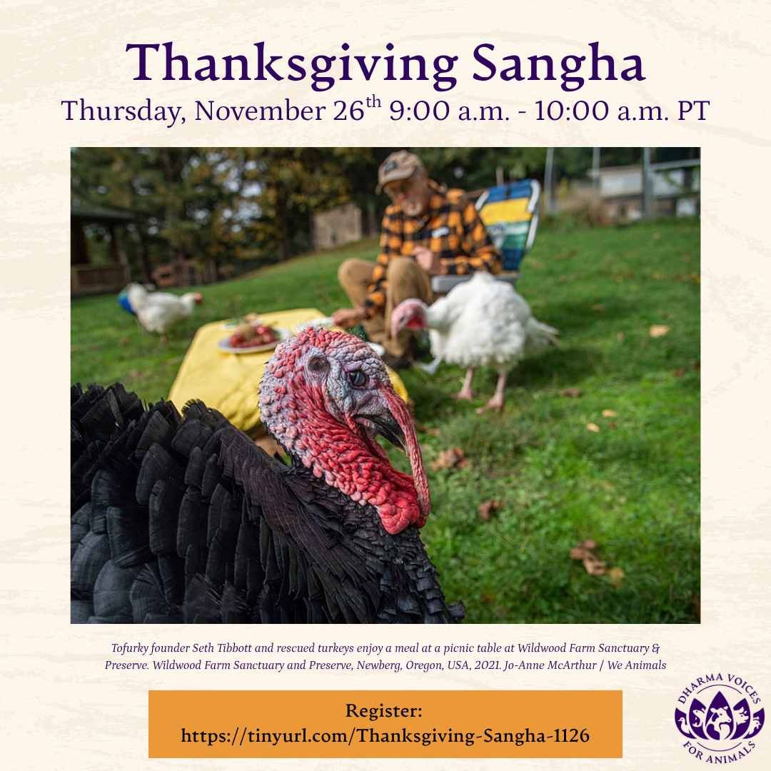 Thanksgiving Sangha