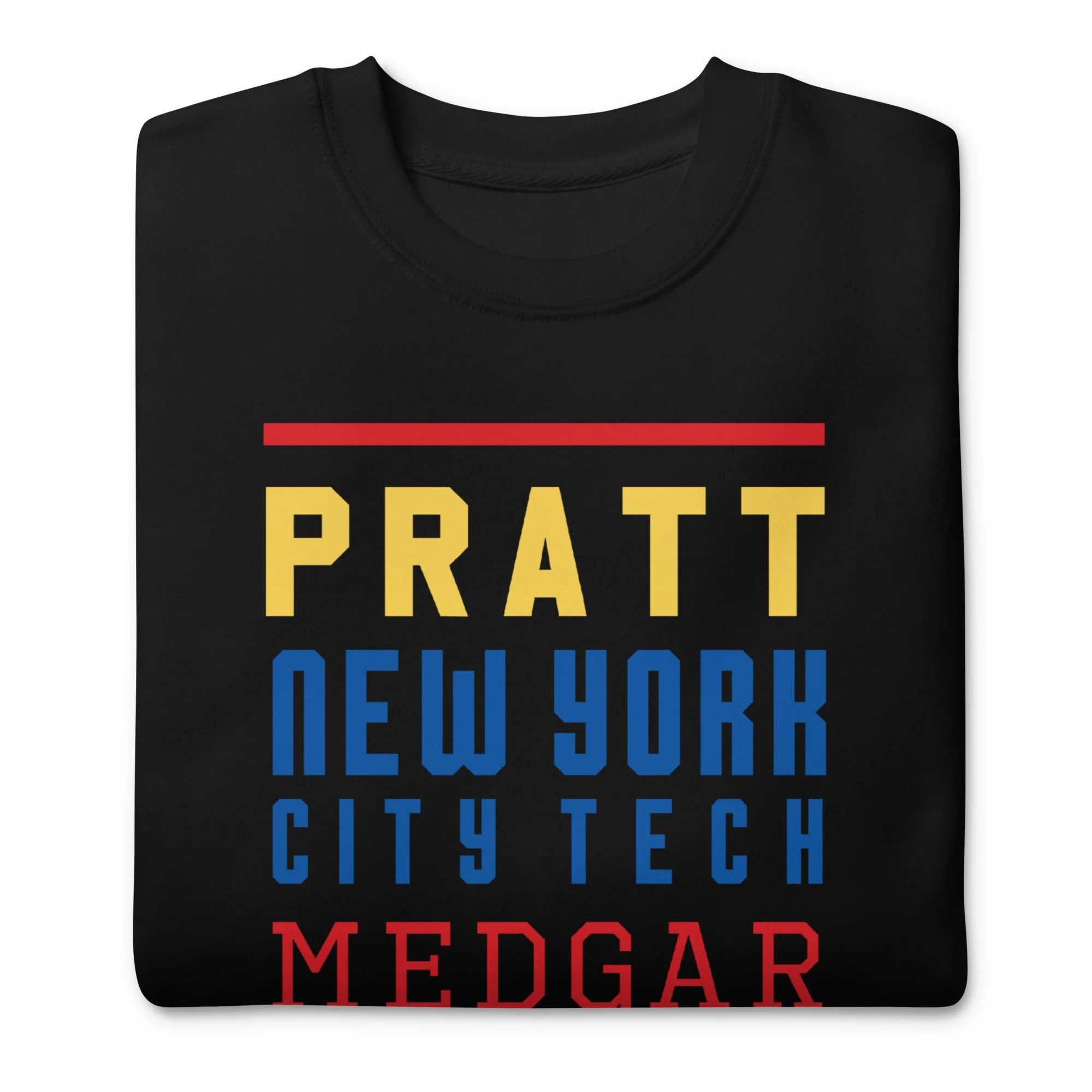 unisex-premium-sweatshirt-black-front-6a9ef11d92b72.jpg