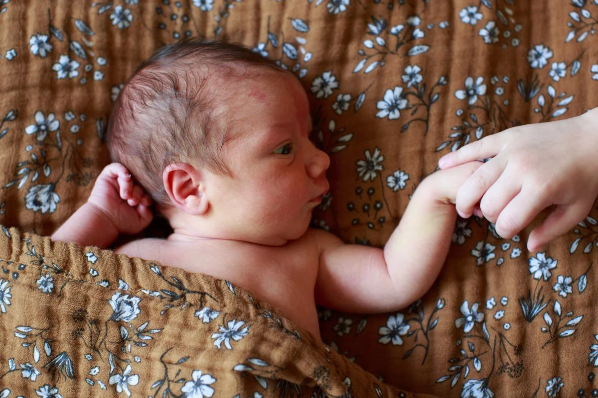 Newborn baby is cuddled under a floral blanket and holding a hand coming in offscreen in an Orange County newborn photography session by Shannon Fisher Photo