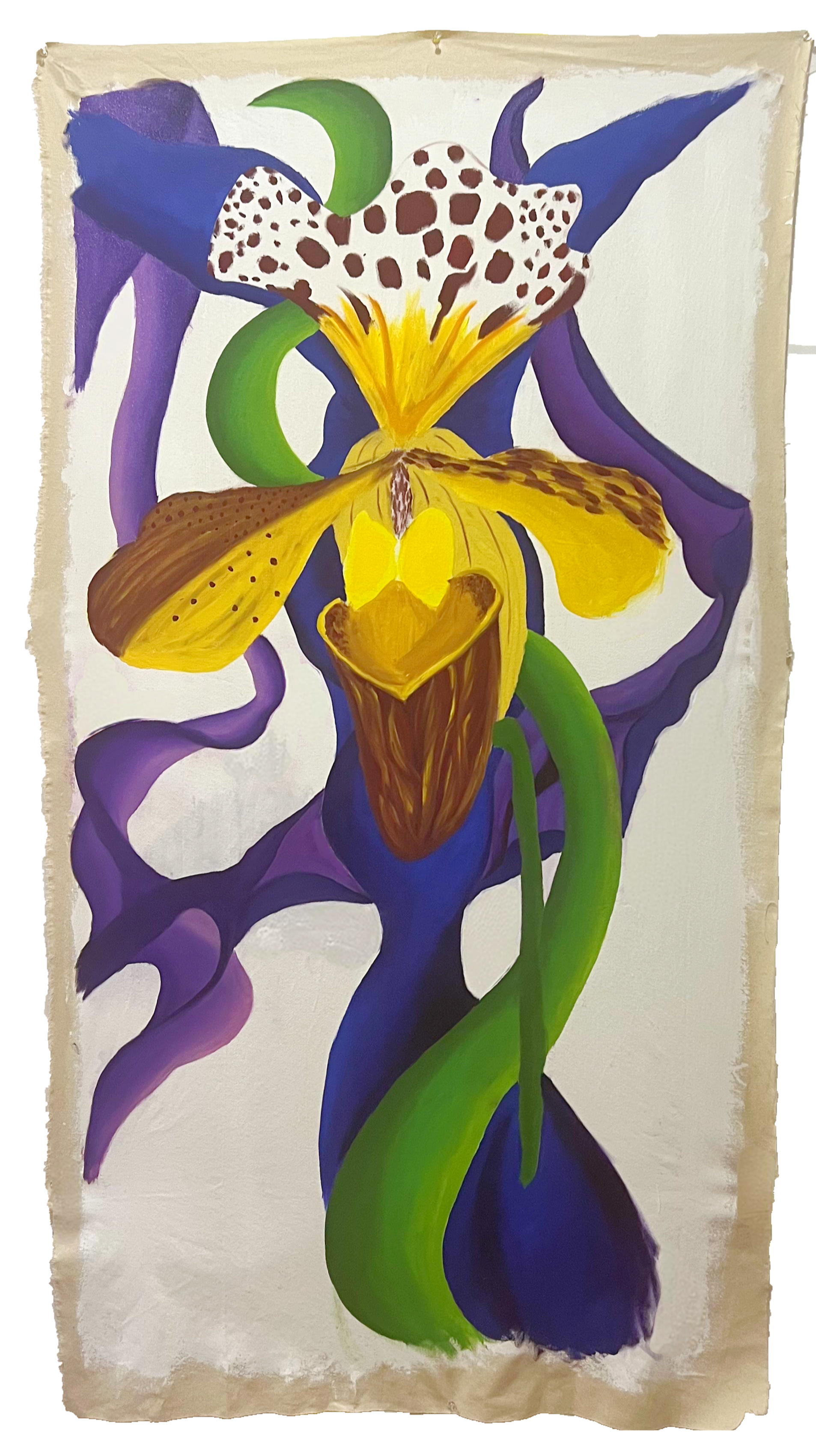 orchid.png
