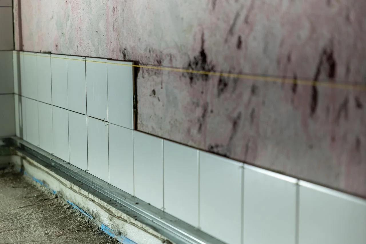 How Quickly Can Mold Spread Without Mold Remediation?