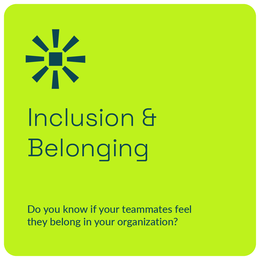 Green square with a sunburst icon and text "Inclusion & Belonging." Below, a question: "Do you know if your teammates feel they belong in your organization?"