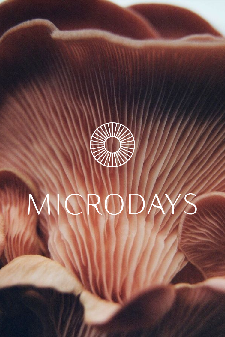 Microdose Mini Retreat | Yin + Sound Journey