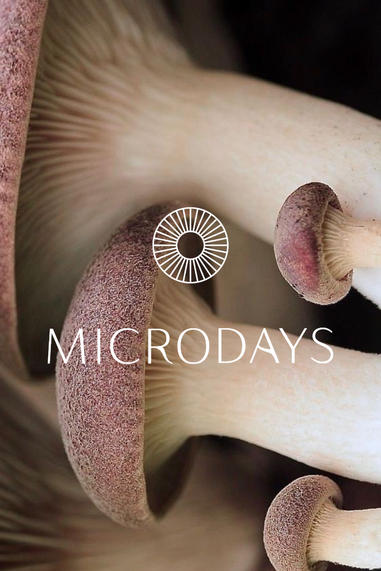 Microdose Mini Retreat | Lymphatic Yin + Sound Journey