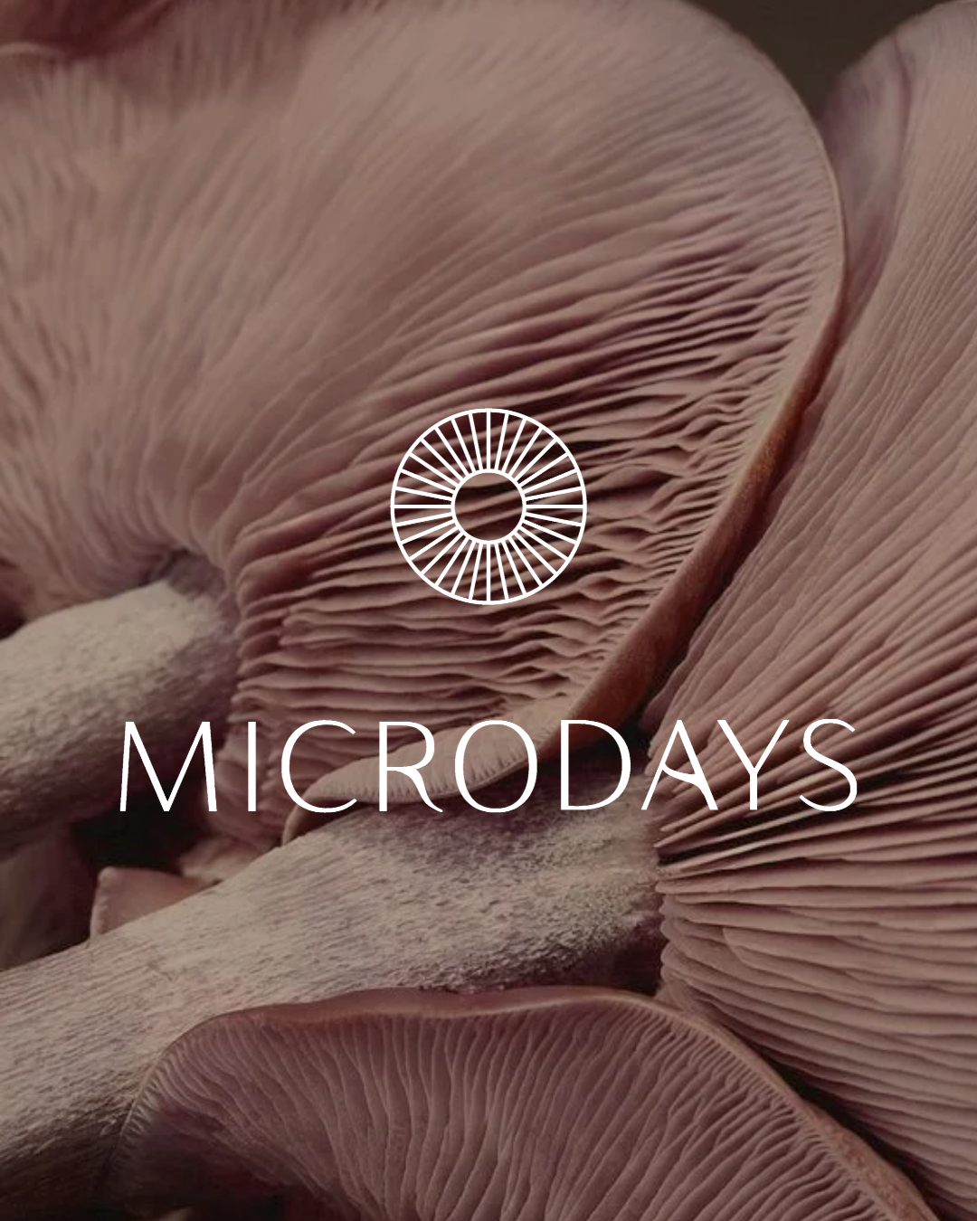 Microdose Mini Retreat | Lymphatic Yin + Sound Journey