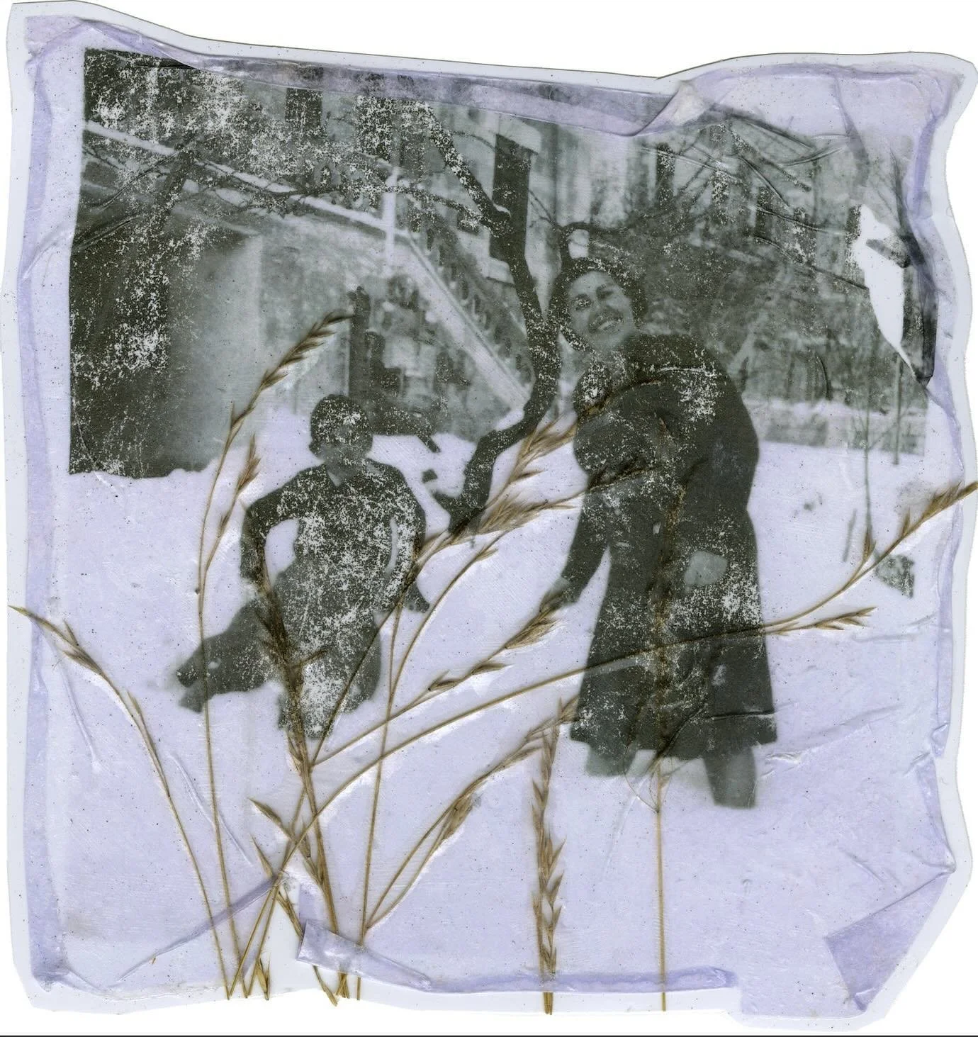 gel transfer with grasses