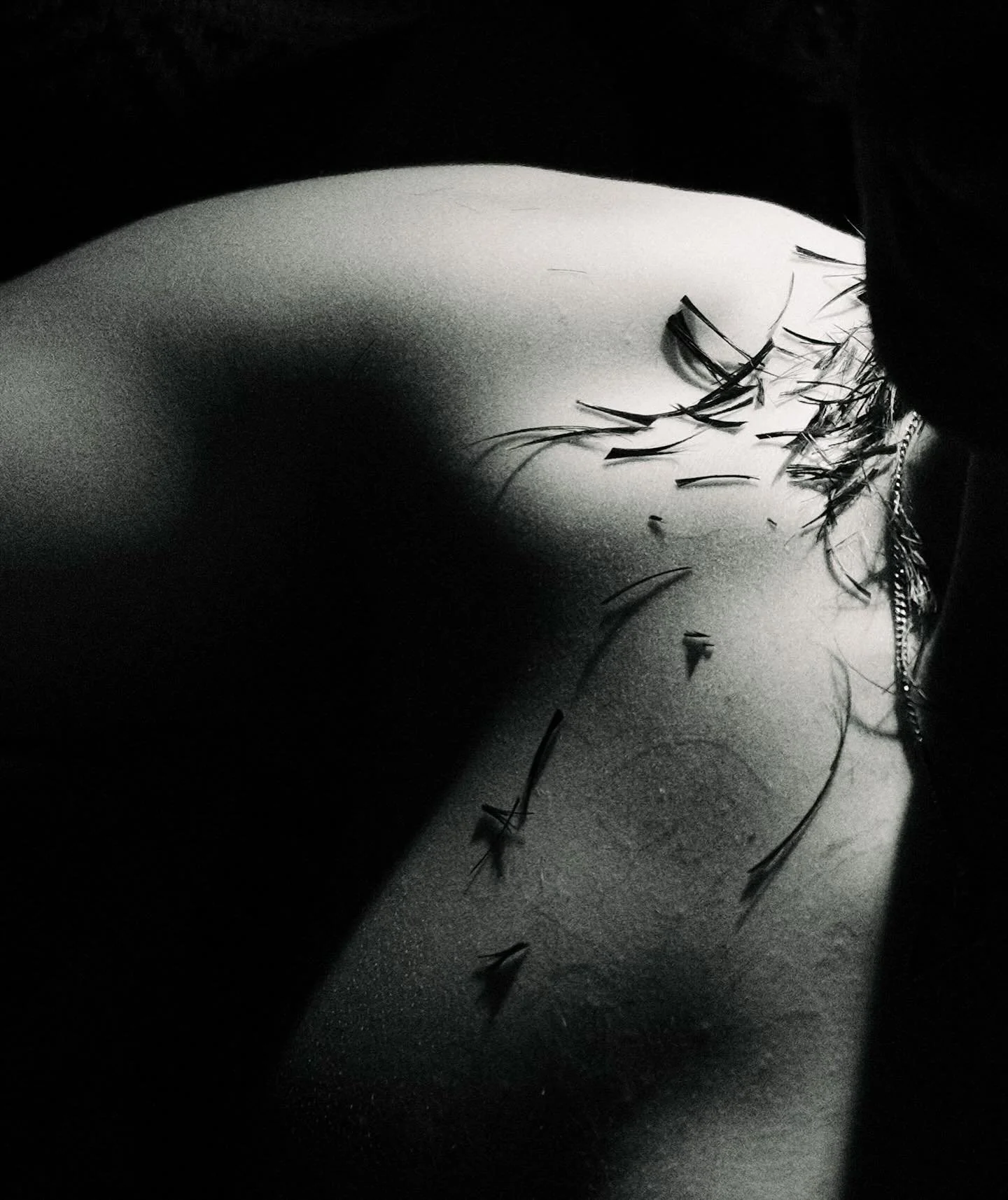 haircut. now a collab.