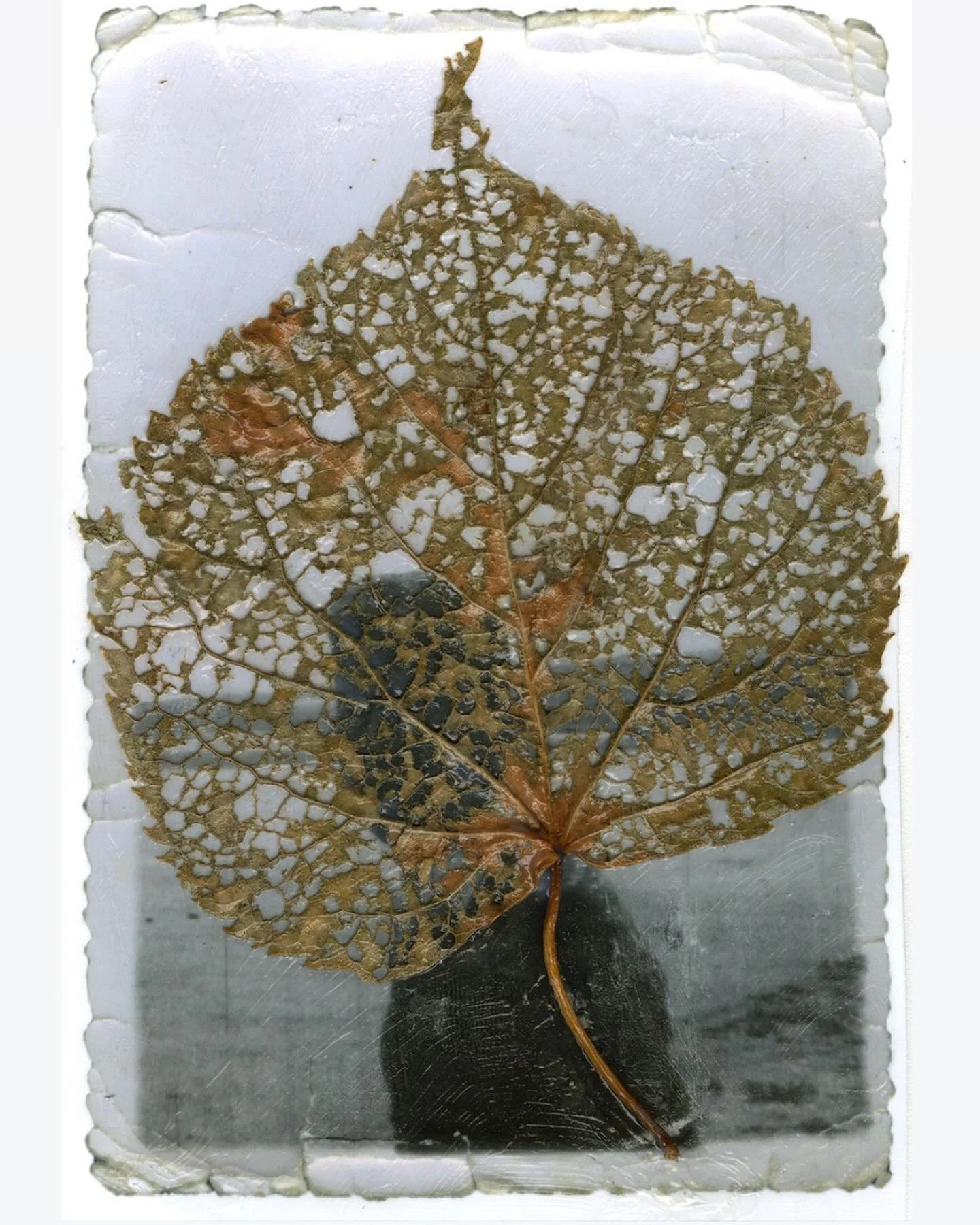 #art - detritus and familiar shadows