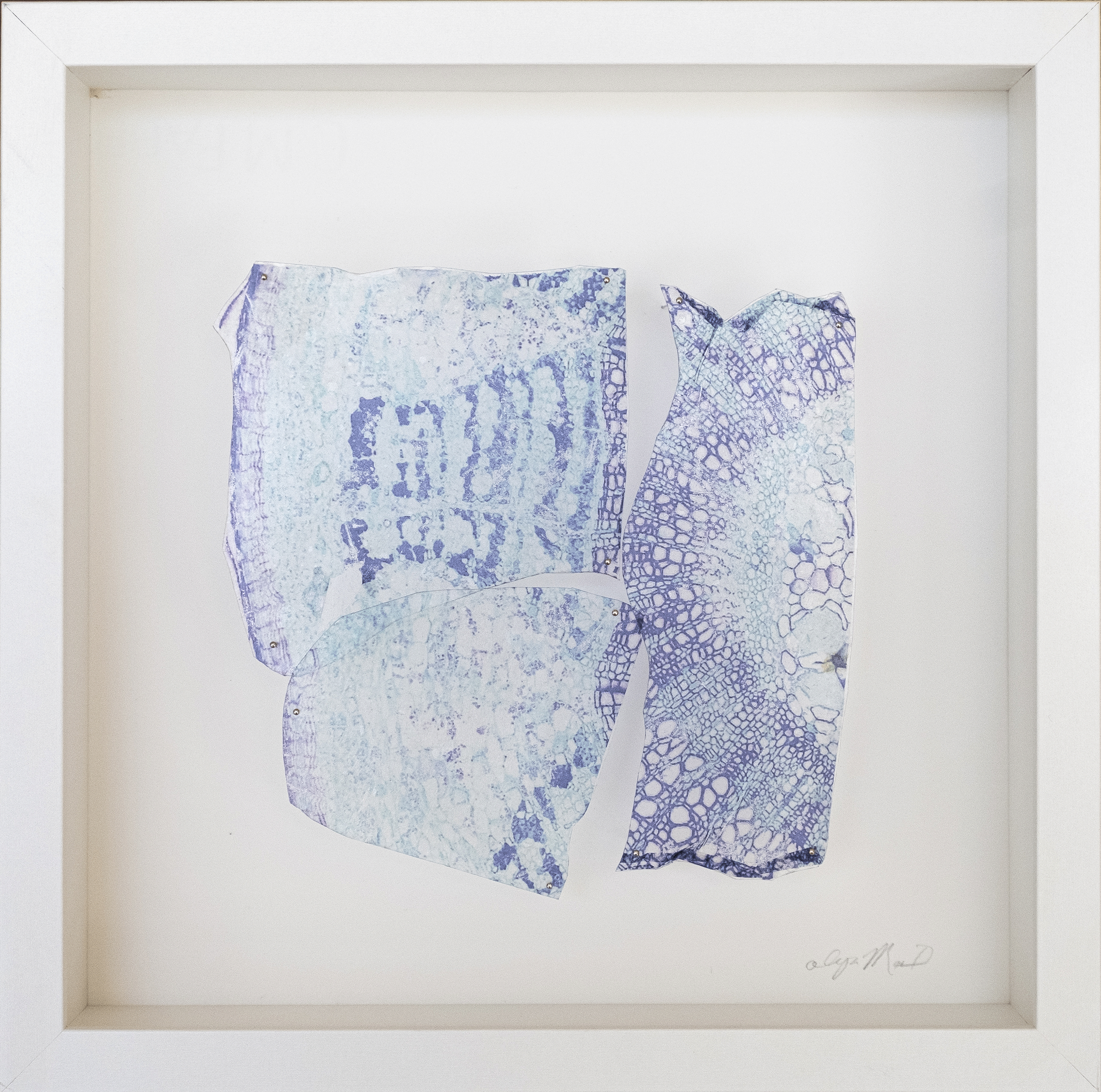 Alya-MacDonald-Onion-photographia-Tranferencia-de-gel-en-acrilico2.png