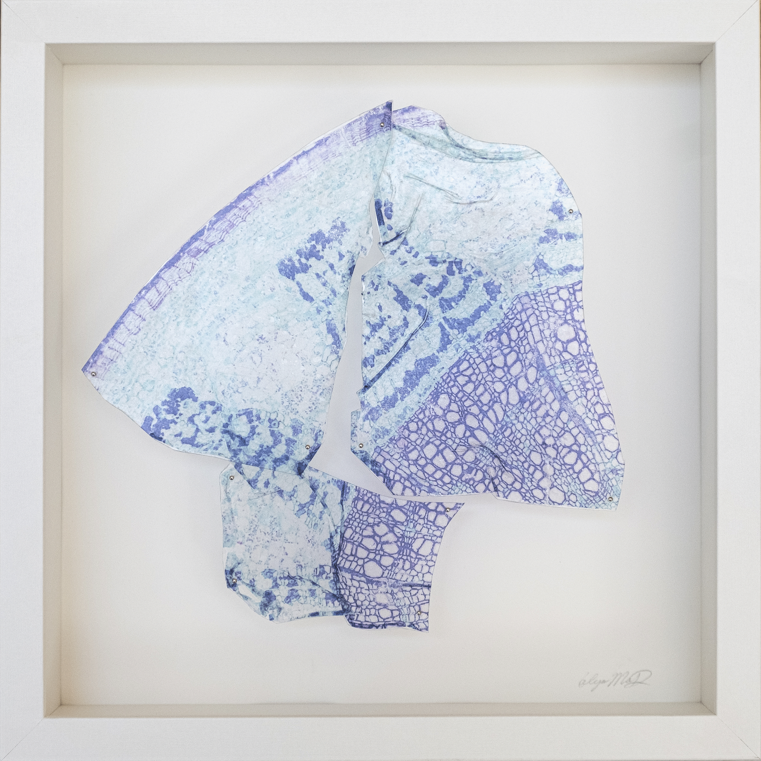 Alya-MacDonald-Onion-photographia-Tranferencia-de-gel-en-acrilico4.png