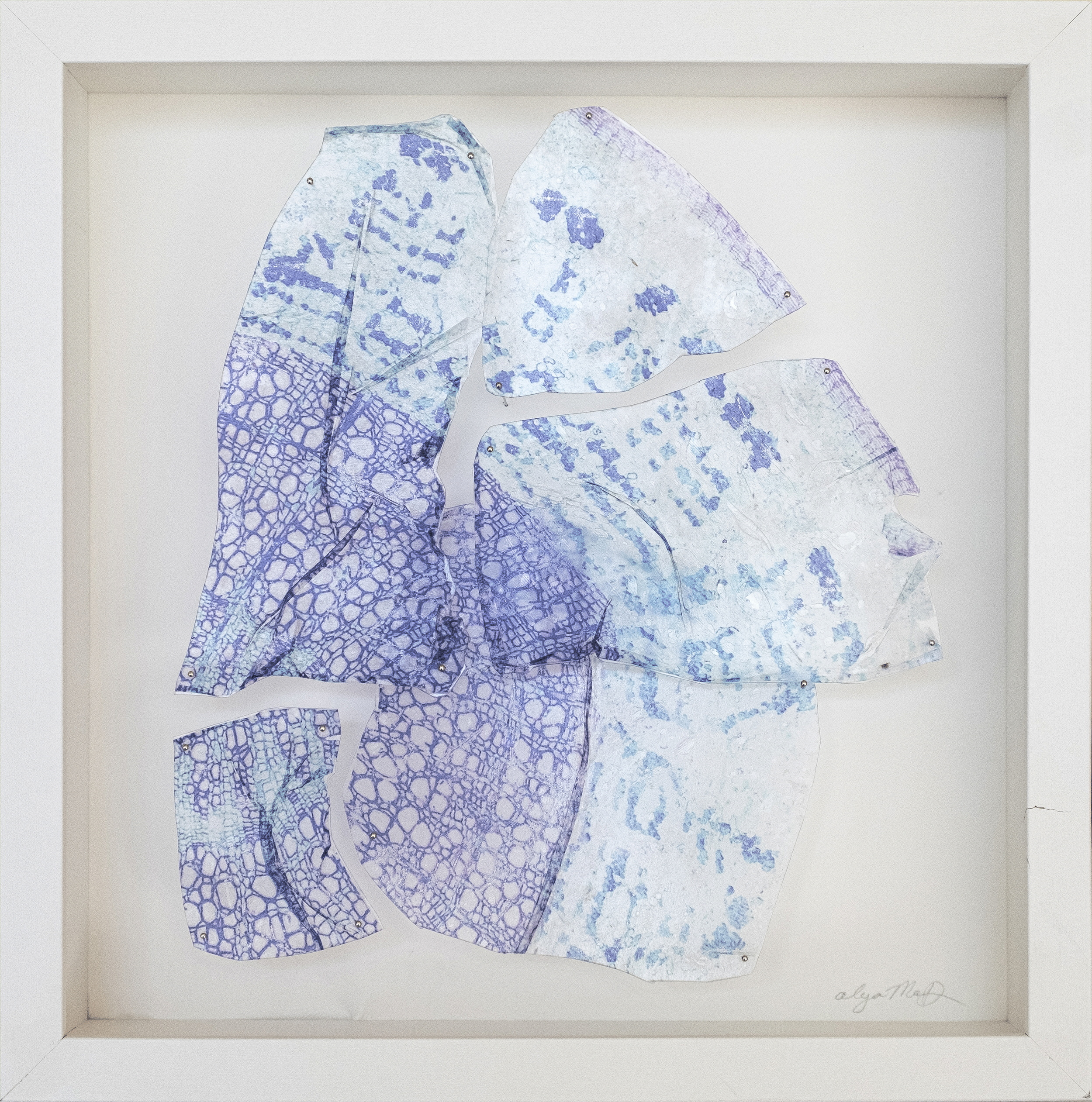 Alya-MacDonald-Onion-photographia-Tranferencia-de-gel-en-acrilico3.png