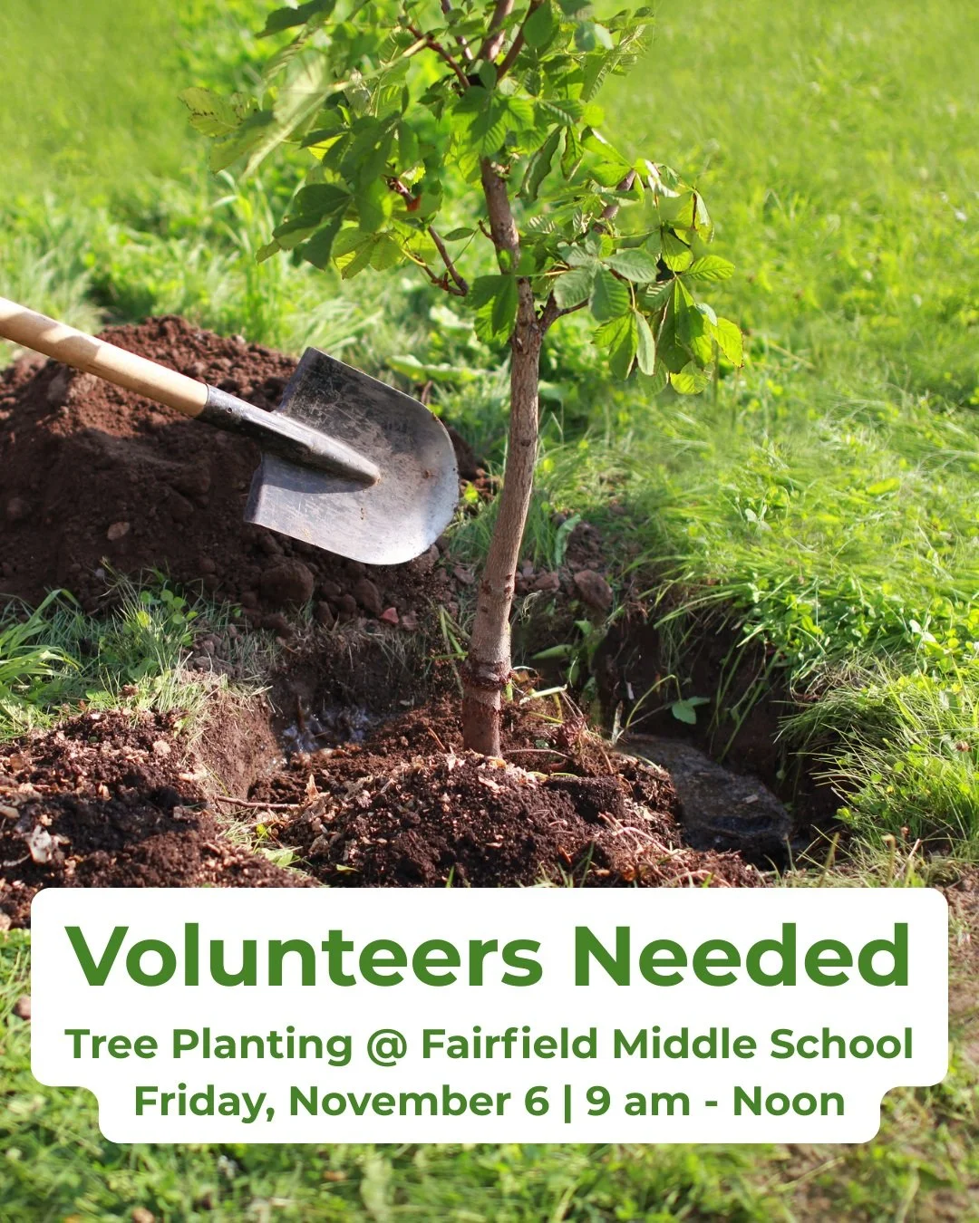 Join @cornerstonecommunityfarm on Friday, November 6 from 9 a.m. to noon and celebrate Richmond Tree Week 🌳

We'll be planting trees on the Fairfield Middle School campus to create a mini-arboretum for students to learn about and enjoy. 

What to We