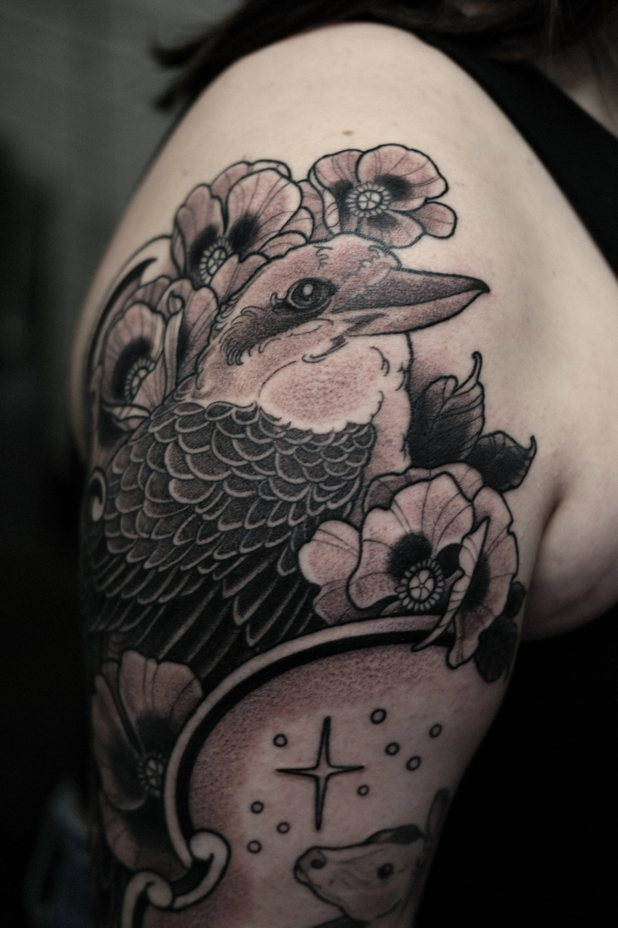 KitKookaburra.JPG