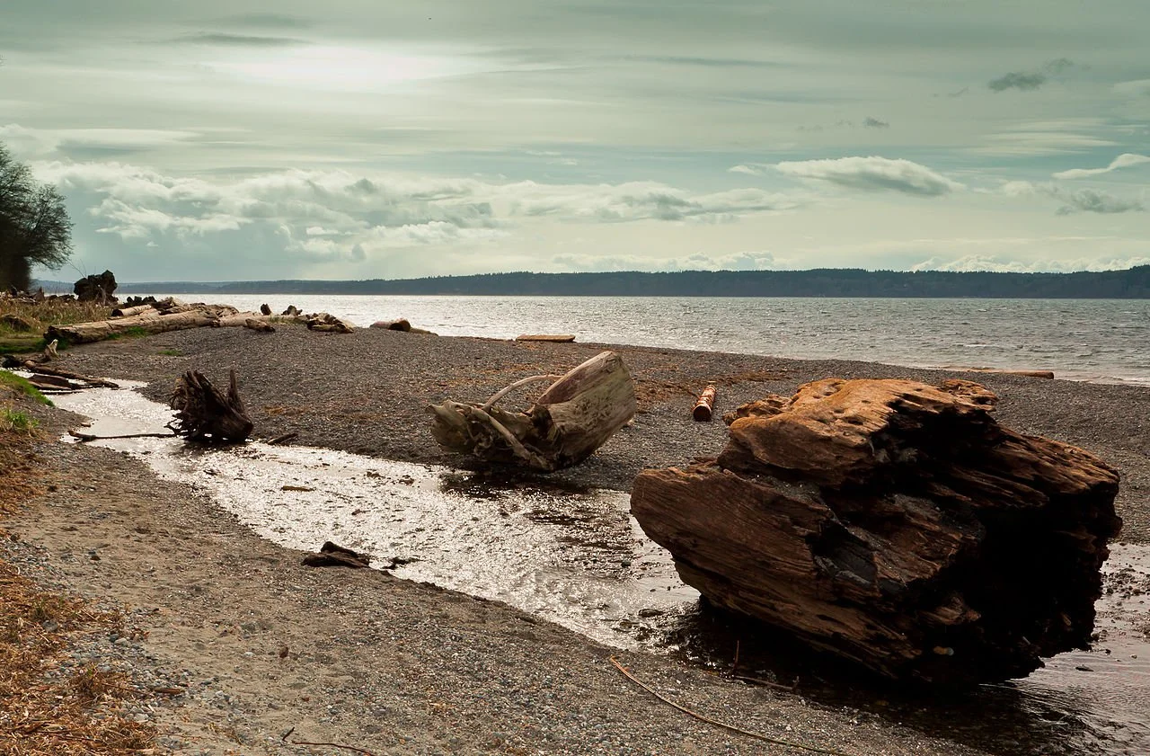 1280px-Seahurst_Park,_Burien,_March_2013.jpg
