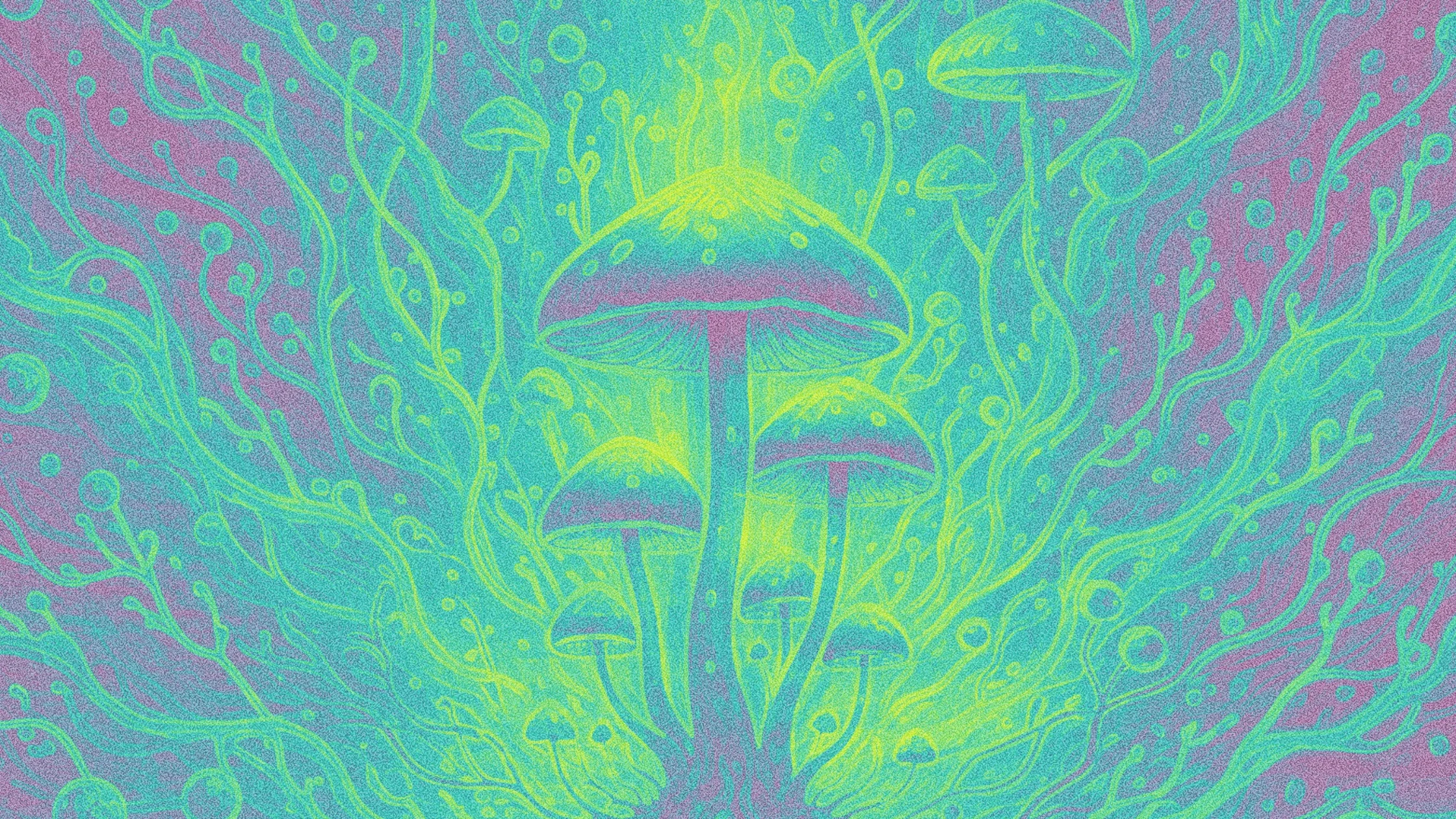 Microdosing: What We’re Hearing on the Fireside Support Line