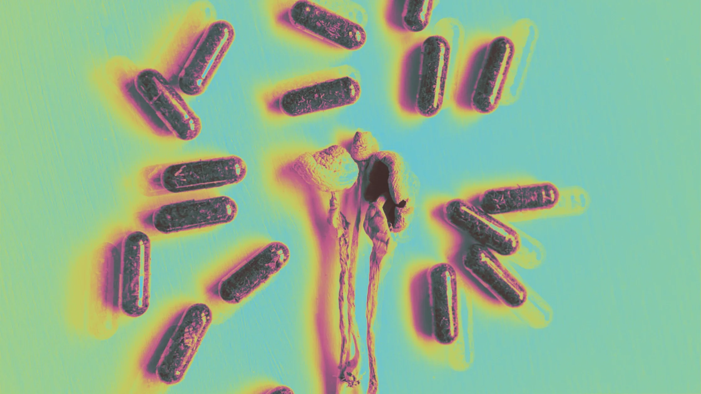 Is Microdosing Placebo and Does that Matter?