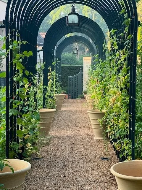 Summer drop&hellip;&hellip;MC POTS @mcpotsmaroc MAGIC, ROSE HEAVEN, PATRICK BLANC BRILLIANCE, and a little bit of this and that!

#summertime #garden #roses #taste #tabletopdecor #interiordesign #chic #textiles #topiary #delft #jacquesadnet #18thcent