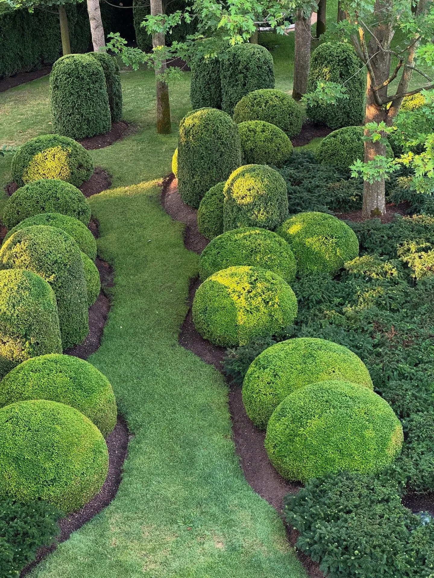 Summer drop # 2&hellip;&hellip;haircut central, artichokes in bloom, friends poolside, magic light and color!

#summer #gardens #summerdrop #entertaining #topiary #design #style #chic