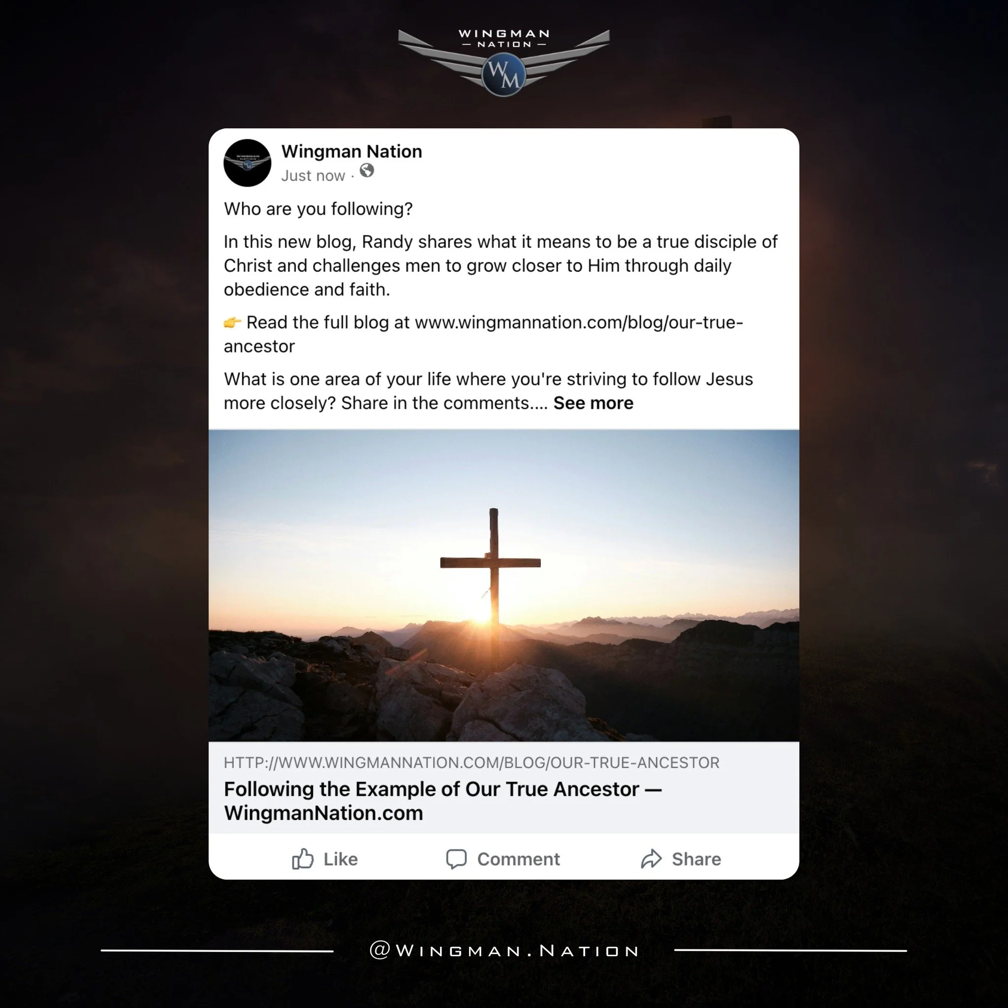 What is one area of your life where you're striving to follow Jesus more closely? Share in the comments.

👉 Read the full blog at www.wingmannation.com/blog/our-true-ancestor

#WingmanNation #ChristianMen #DiscipleOfChrist #FaithInAction #BiblicalMa