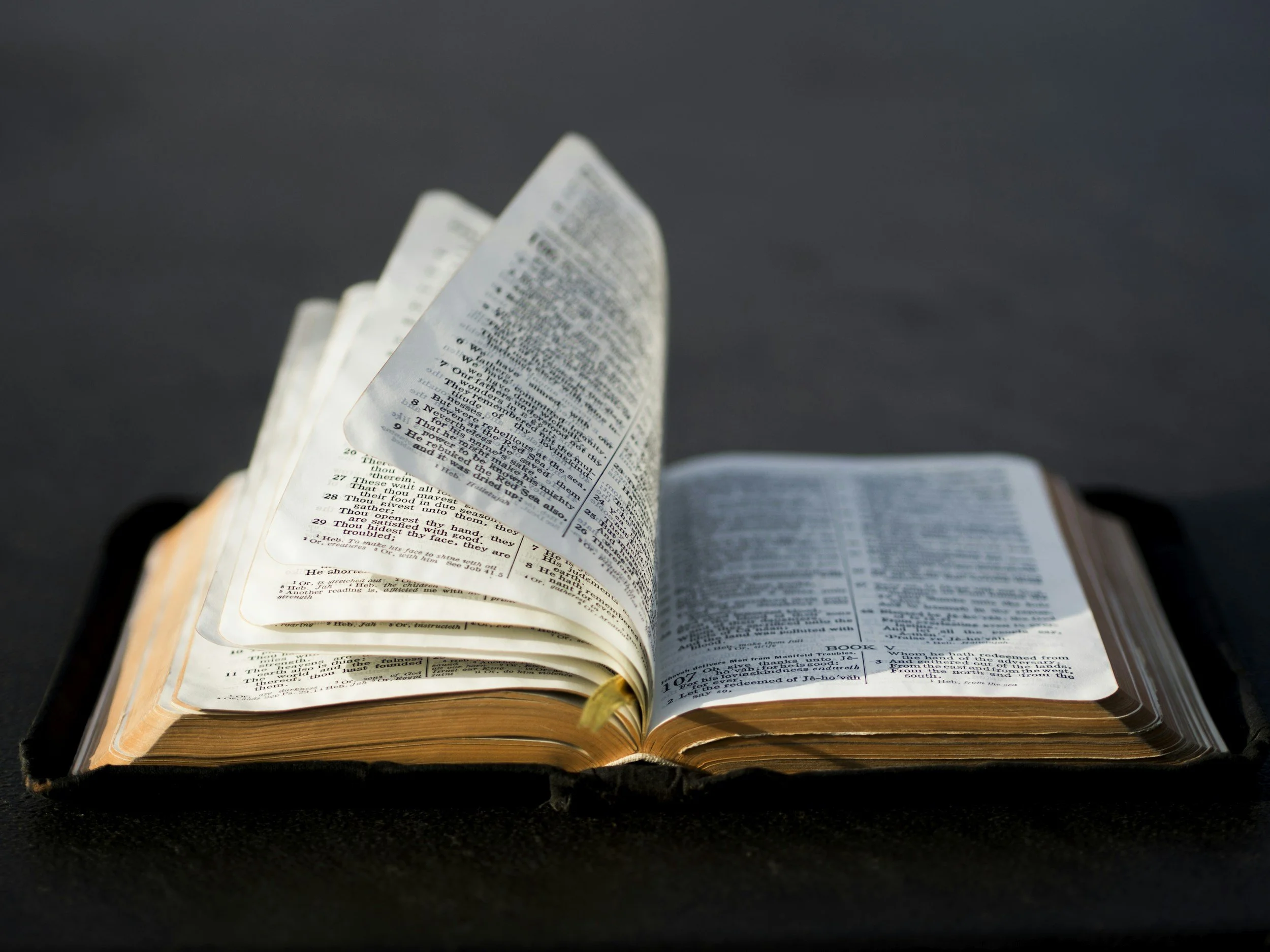 Does the Bible Have Answers for Every Problem?