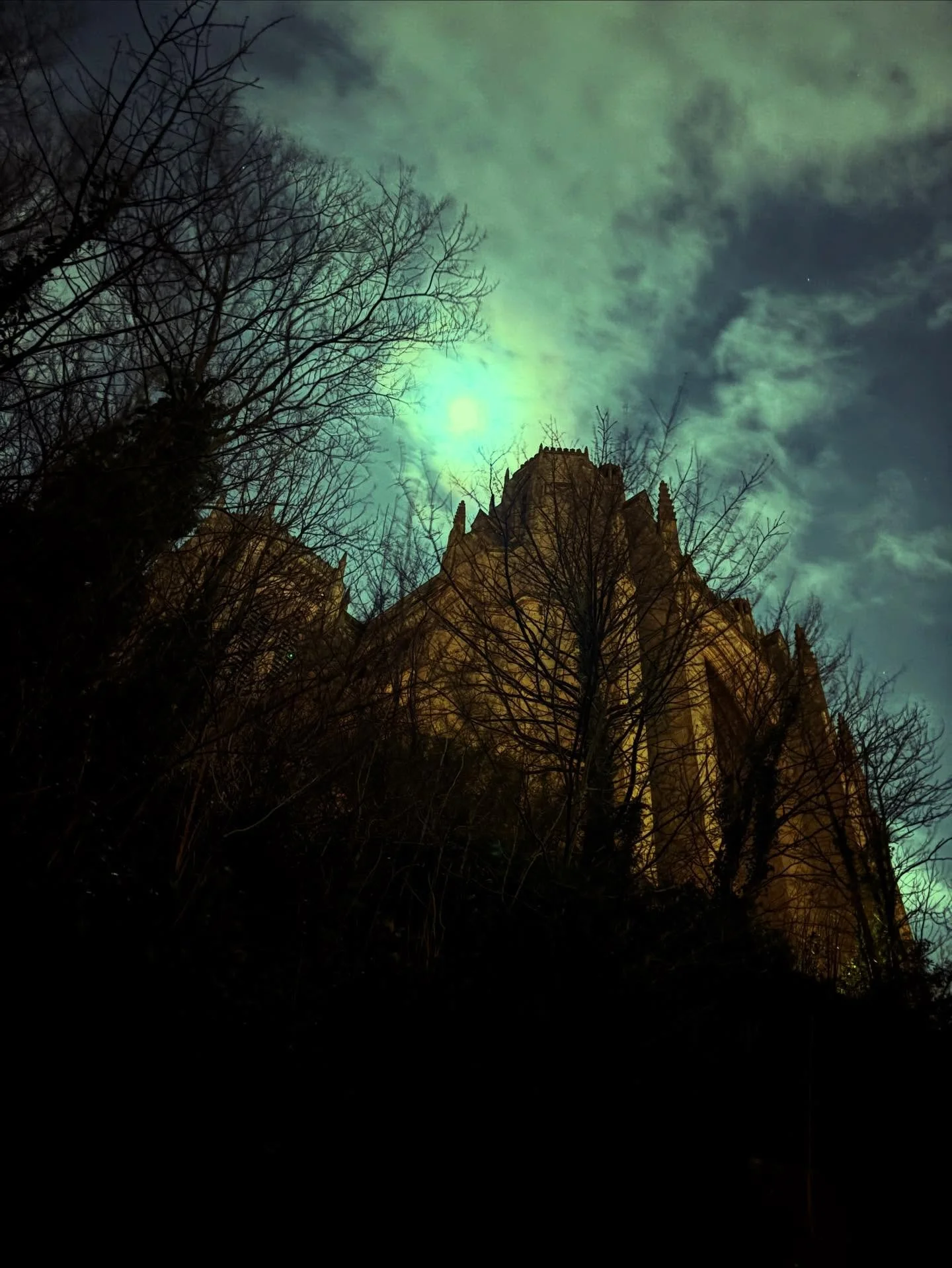 Remember You Are Stardust, 
So Darlings Take a Bow, 
Live your Life In The Moment, 
Here&rsquo;s to the Eternal Now!

Happy New Year 🦇