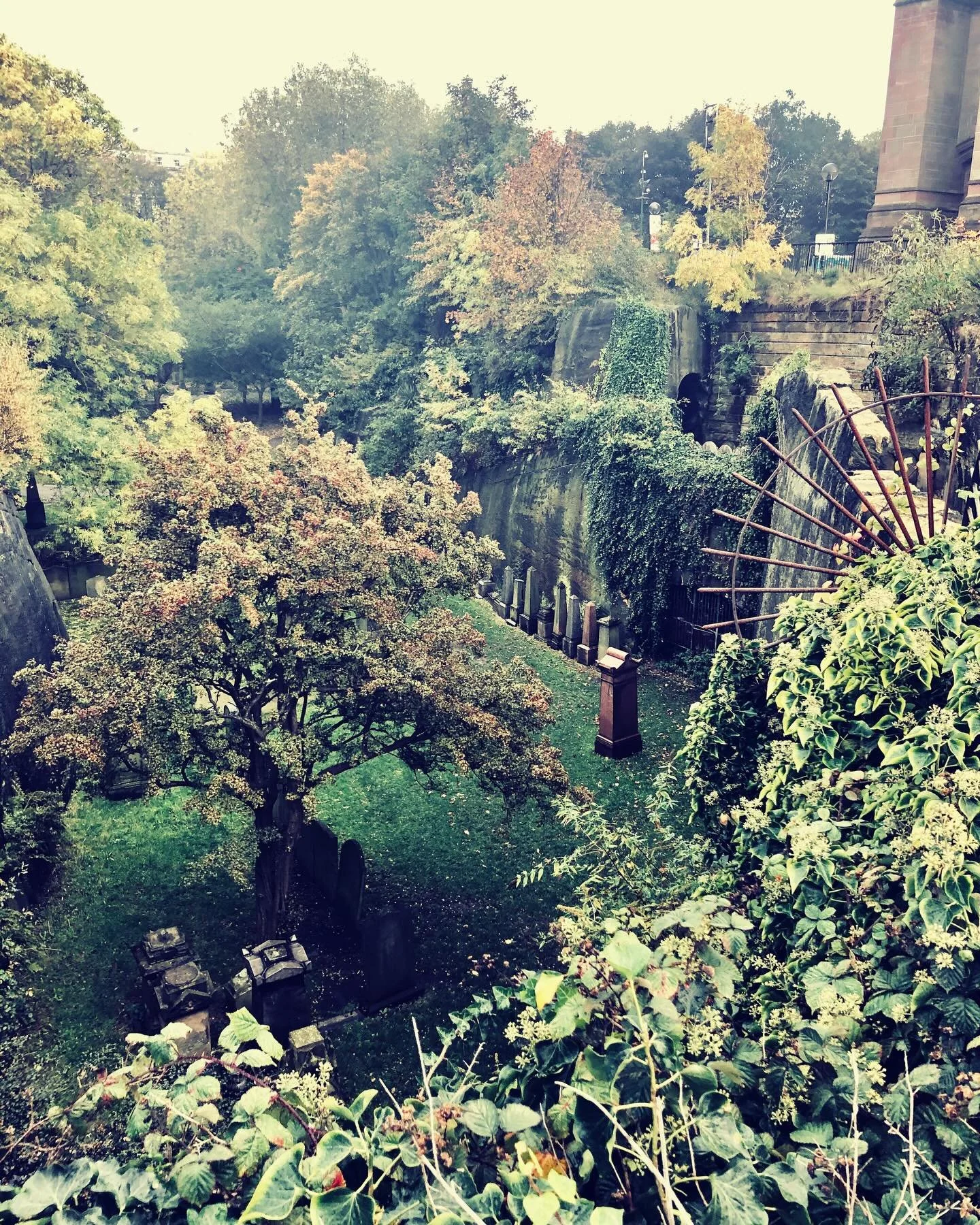 🧛&zwj;♀️Remembering Liverpool&rsquo;s Remarkable Women 🧛&zwj;♀️

We&rsquo;d like to remember &amp; honour three extraordinary women laid to rest in St James&rsquo; Cemetery whose lives left a lasting mark on Liverpool&rsquo;s history.

Sarah Biffin