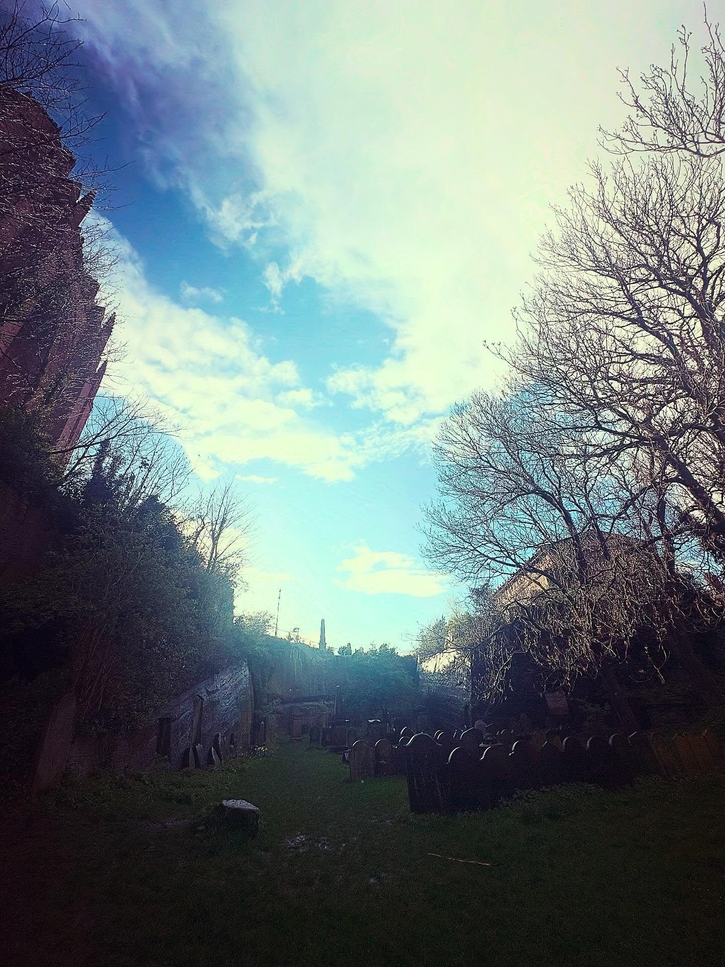 We certainly saw the sunshine 🌞 after the rain ☔️ tonight during the cemetery🪦 clear up&hellip; We even had a rainbow 🌈 grace the sky 

#shiverpoolcommunityspirit 👻
