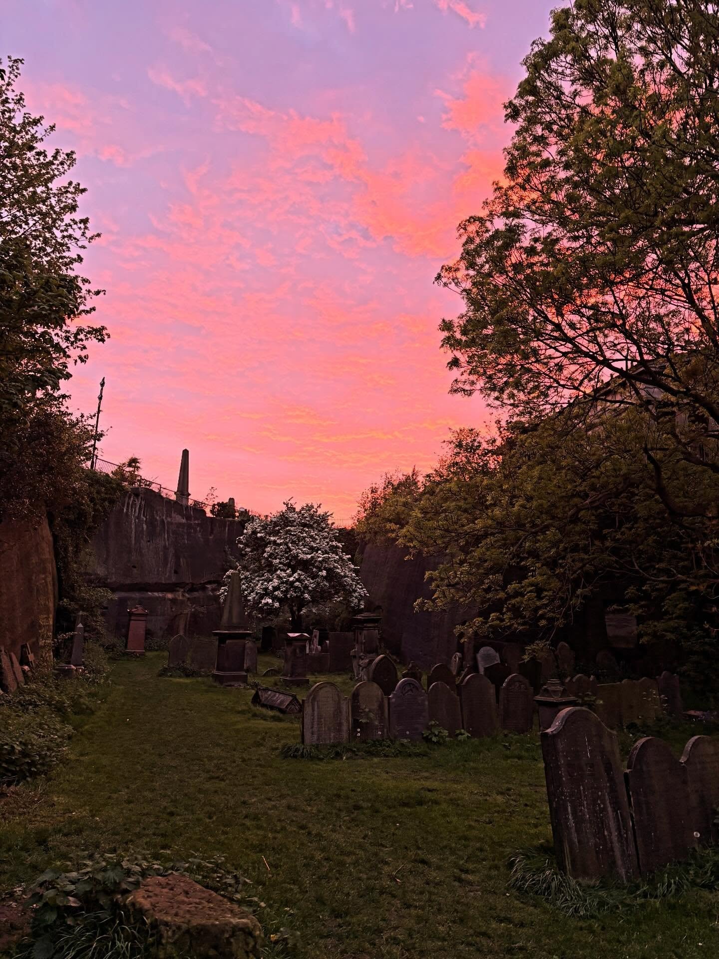Sunset in the Cemetery 🌞🪦🩷🪦🌞 #stjamesliverpool