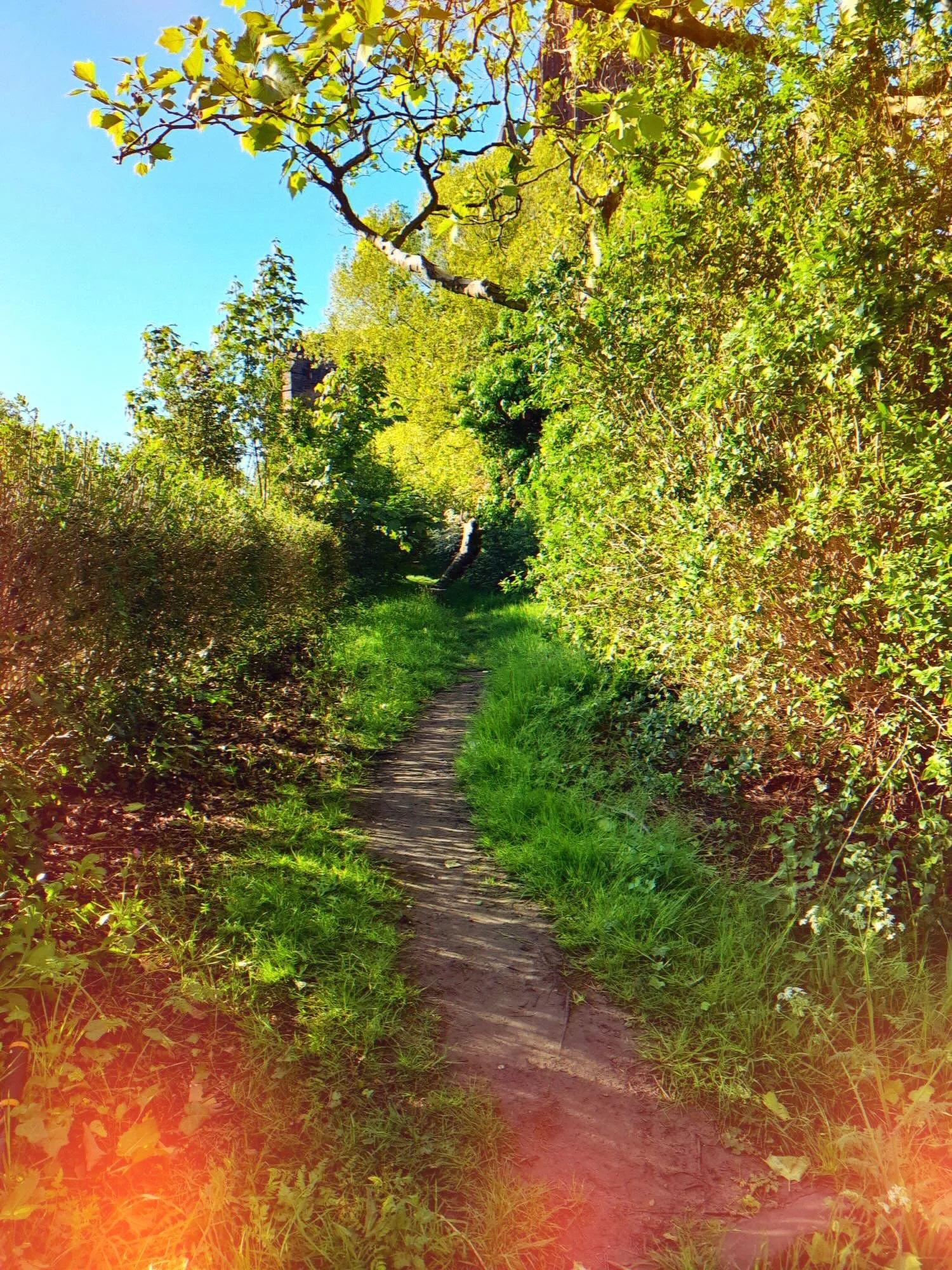Three Cheers to @friendsofstjamesliv Trusty Trustee Michael&rsquo;s POV: &ldquo;It was truly amazing session. We&rsquo;ve widened both these pathways now. One of them looks like a country path and the other is like a green avenue. This is a real brea