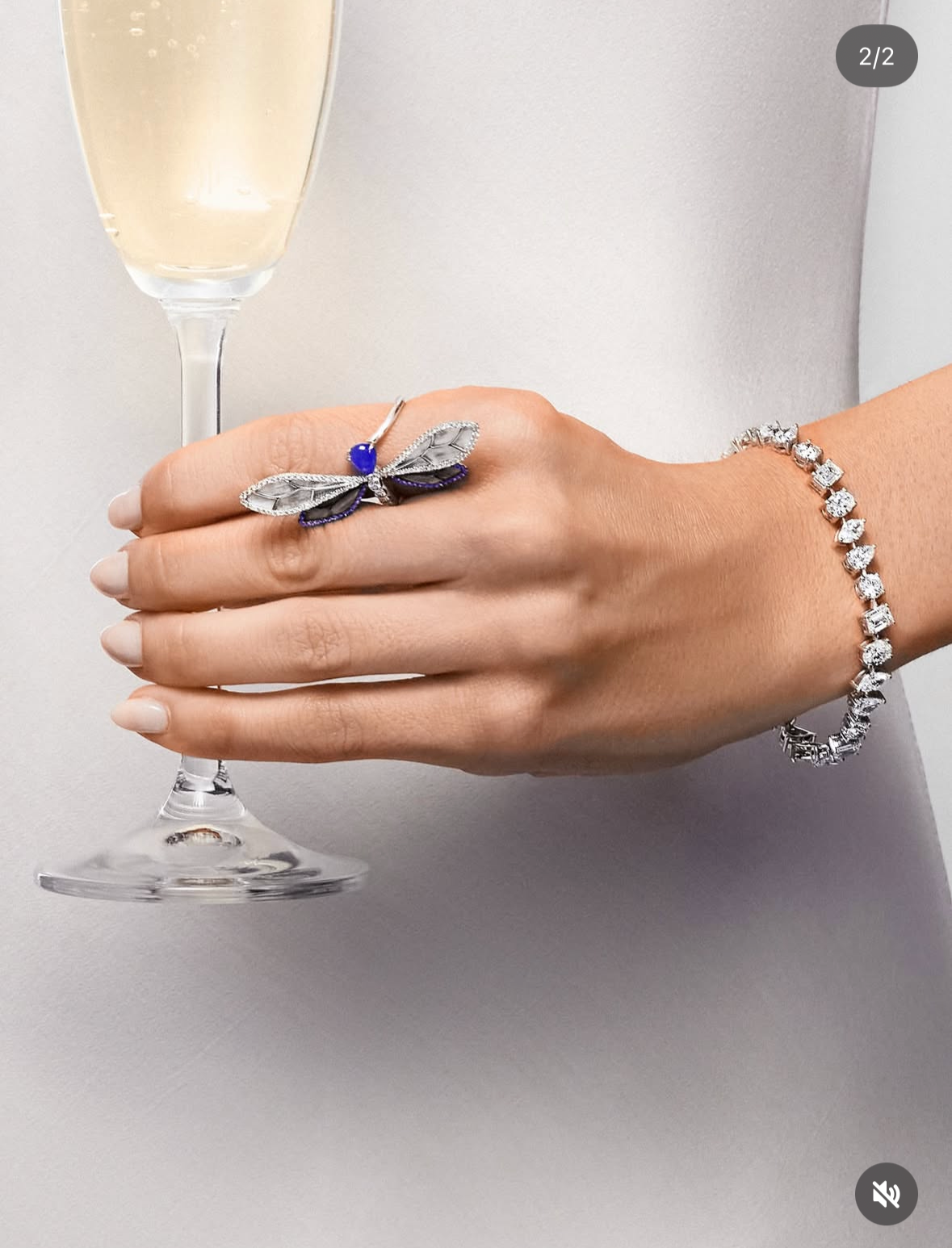 Jewels Aficionado House Model
